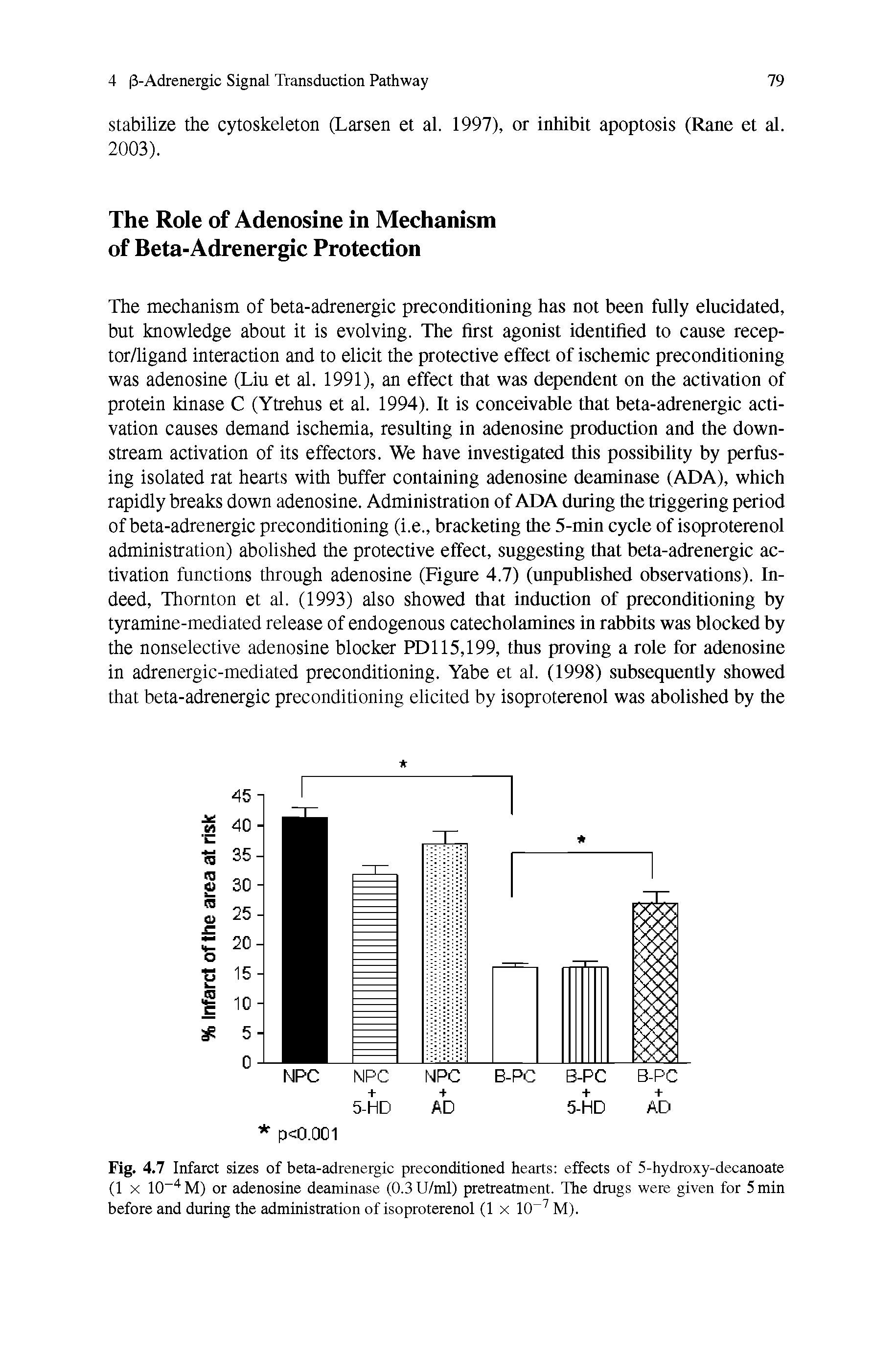 Fig. 4.7 Infarct sizes of beta-adrenergic preconditioned hearts effects of 5-hydroxy-decanoate (1 x 10-4M) or adenosine deaminase (0.3U/ml) pretreatment. The drugs were given for 5 min before and during the administration of isoproterenol (lx 10-7 M).