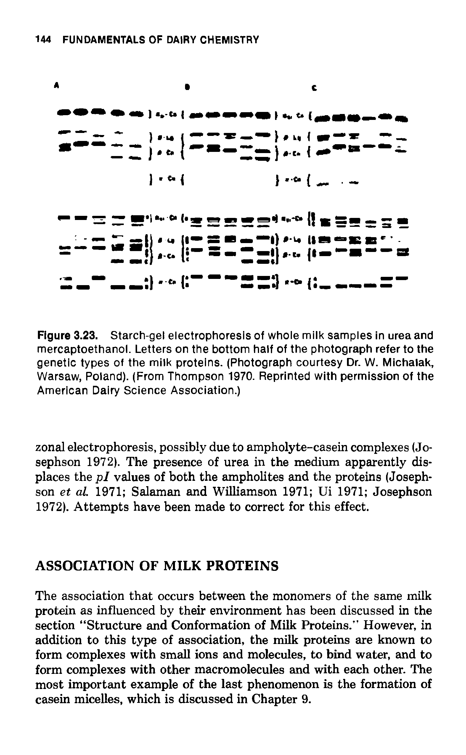 Figure 3.23. Starch-gel electrophoresis of whole milk samples in urea and mercaptoethanol. Letters on the bottom half of the photograph refer to the genetic types of the milk proteins. (Photograph courtesy Dr. W. Michalak, Warsaw, Poland). (From Thompson 1970. Reprinted with permission of the American Dairy Science Association.)...