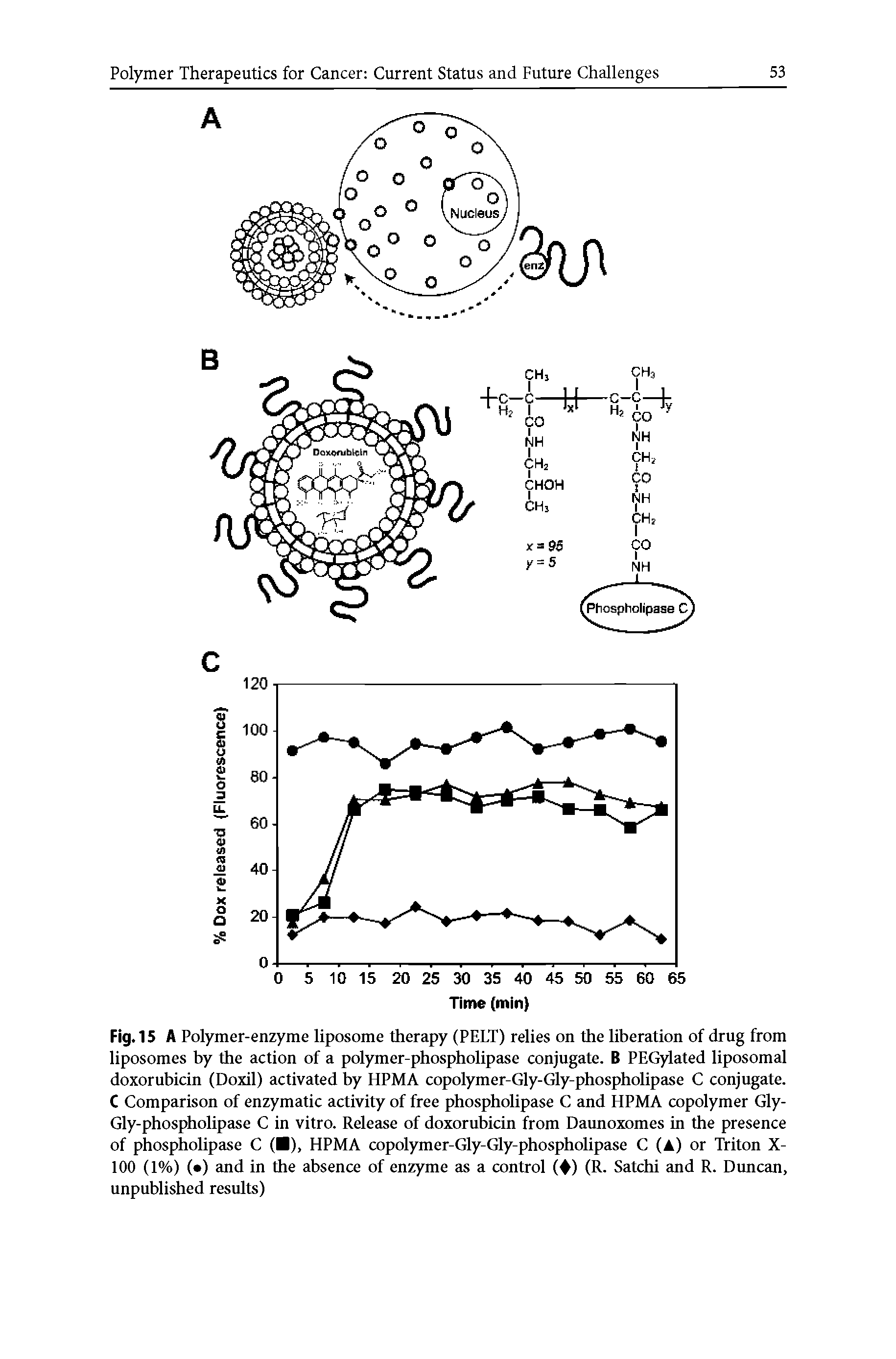 Fig. 15 A Polymer-enzyme liposome therapy (PELT) relies on the liberation of drug from liposomes by the action of a polymer-phospholipase conjugate. B PEGylated liposomal doxorubicin (Doxil) activated by HPMA copolymer-Gly-Gly-phospholipase C conjugate. C Comparison of enzymatic activity of free phospholipase C and HPMA copolymer Gly-Gly-phospholipase C in vitro. Release of doxorubicin from Daunoxomes in the presence of phospholipase C ( ), HPMA copolymer-Gly-Gly-phospholipase C (A) or Triton X-100 (1%) ( ) and in the absence of enzyme as a control ( ) (R. Satchi and R. Duncan, unpublished results)...