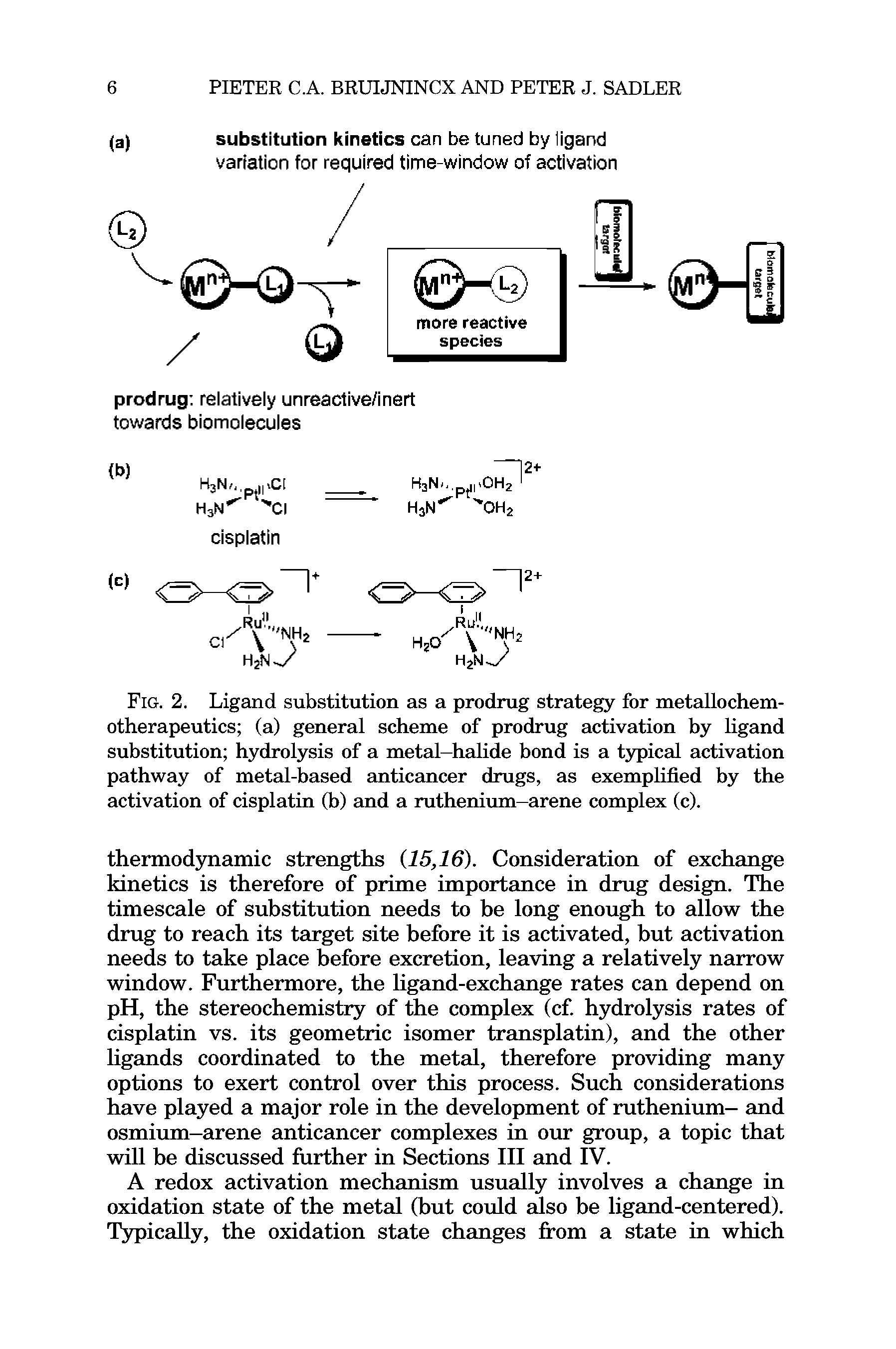 Fig. 2. Ligand substitution as a prodrug strategy for metallochem-otherapeutics (a) general scheme of prodrug activation by ligand substitution hydrolysis of a metal—halide bond is a typical activation pathway of metal-based anticancer drugs, as exemplified by the activation of cisplatin (b) and a ruthenium—arene complex (c).