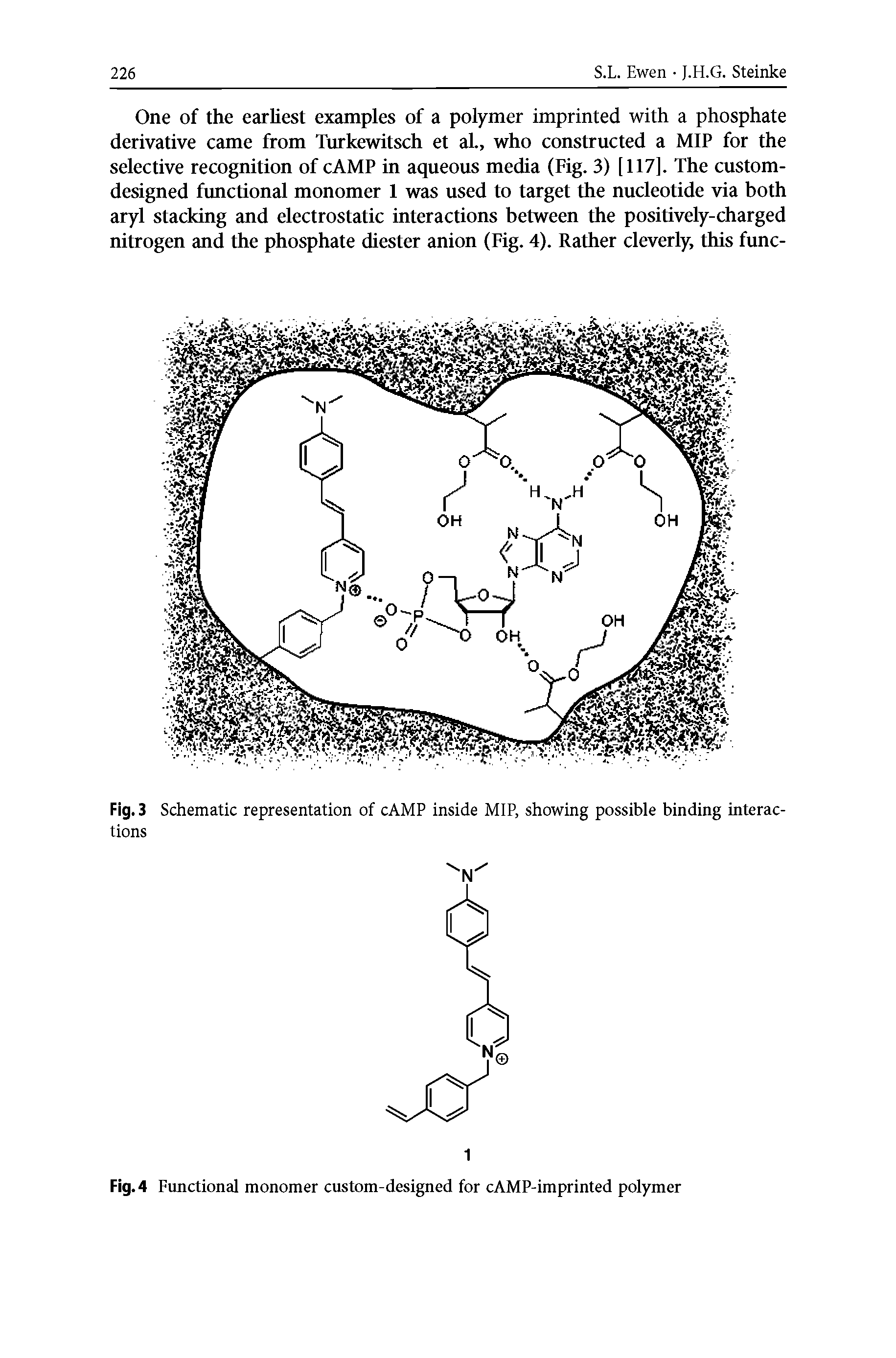 Fig. 4 Functional monomer custom-designed for cAMP-imprinted polymer...