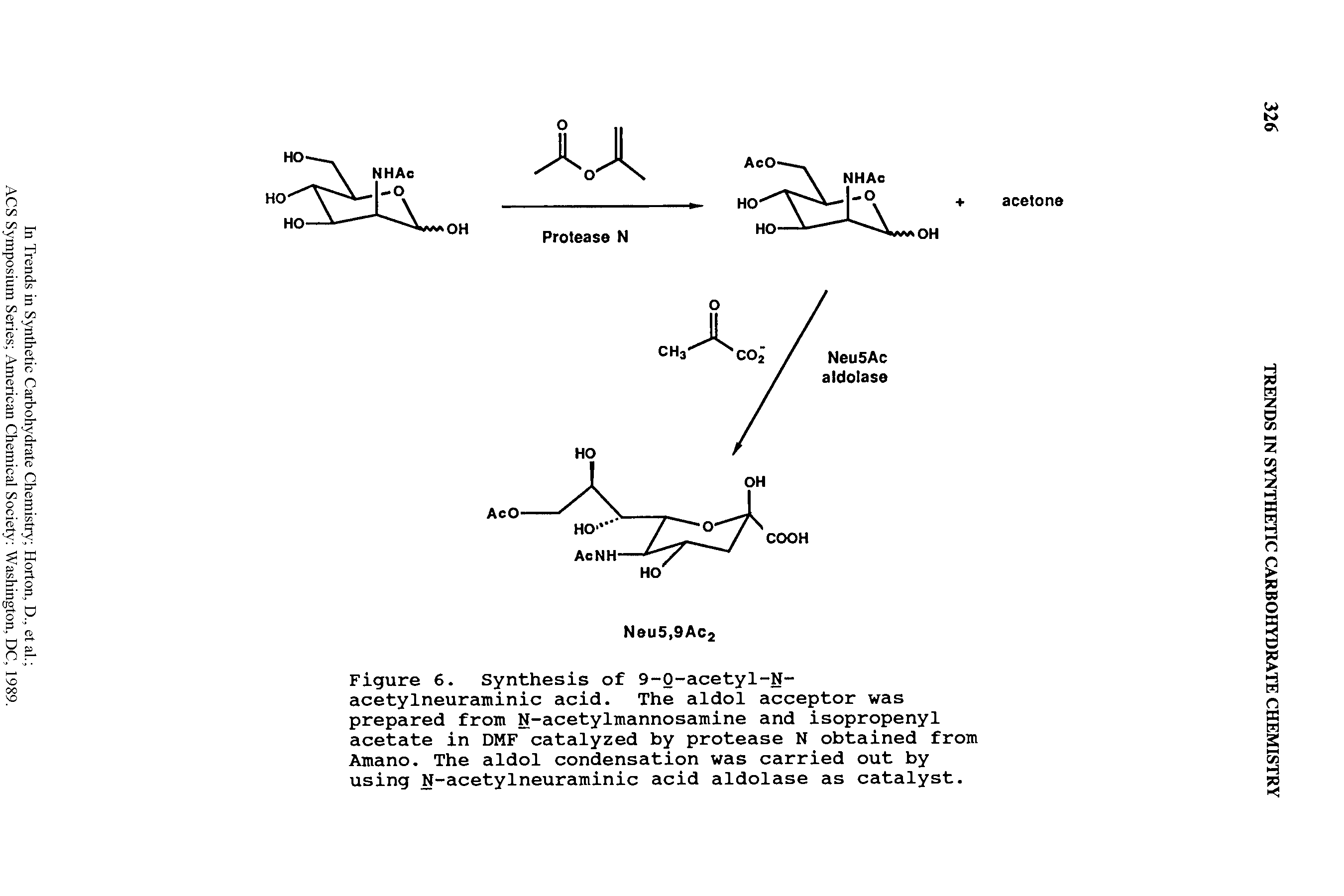 Figure 6. Synthesis of 9-0-acetyl-N-acetylneuraminic acid. The aldol acceptor was prepared from N-acetylmannosamine and isopropenyl acetate in DMF catalyzed by protease N obtained from Amano. The aldol condensation was carried out by using N-acetylneuraminic acid aldolase as catalyst.