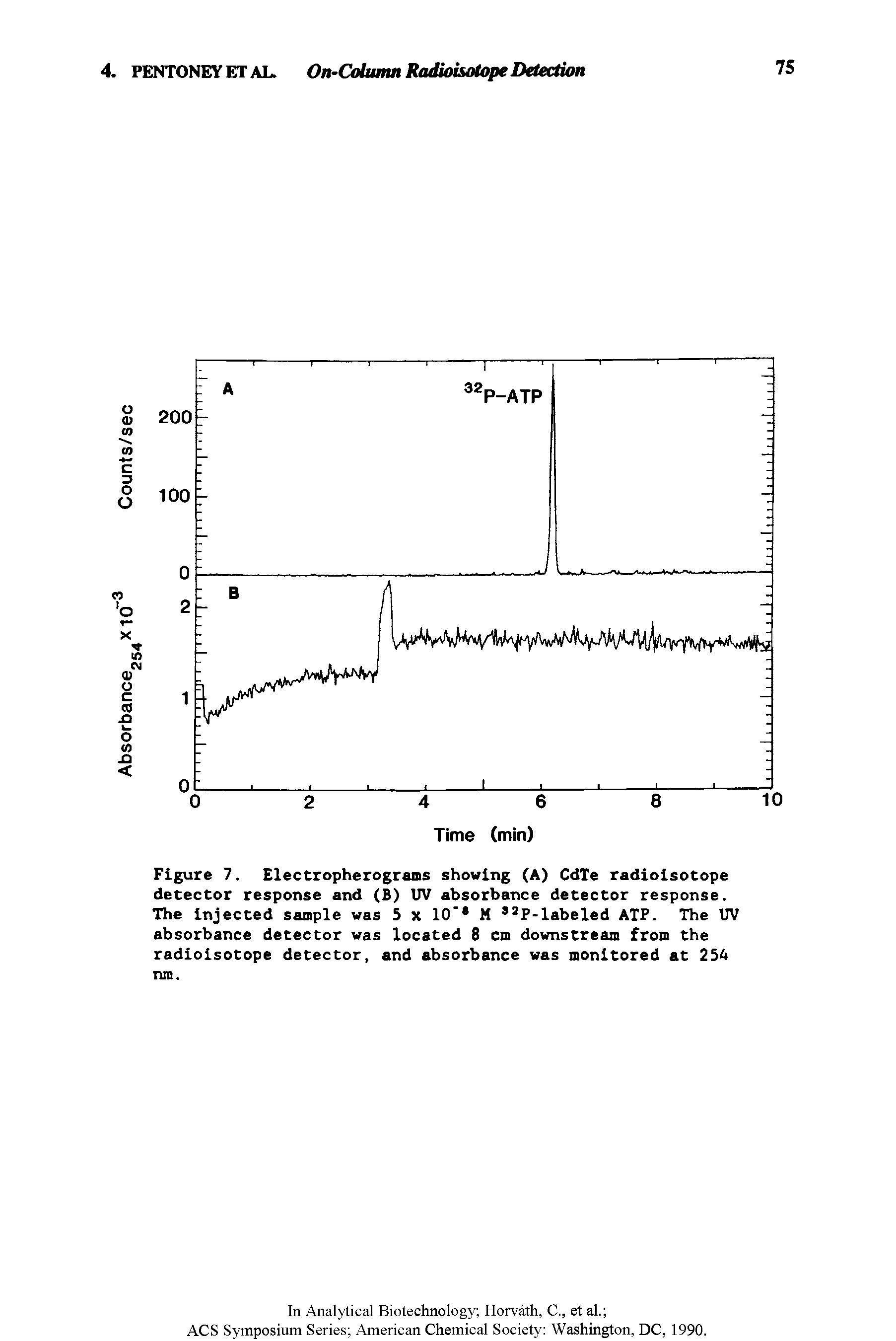 Figure 7. Electropherograms showing (A) CdTe radioisotope detector response and (B) UV absorbance detector response. The injected sample was 5 x 10" M 2P-labeled ATP. The UV absorbance detector was located 8 cm downstream from the radioisotope detector, and absorbance was monitored at 254 run.