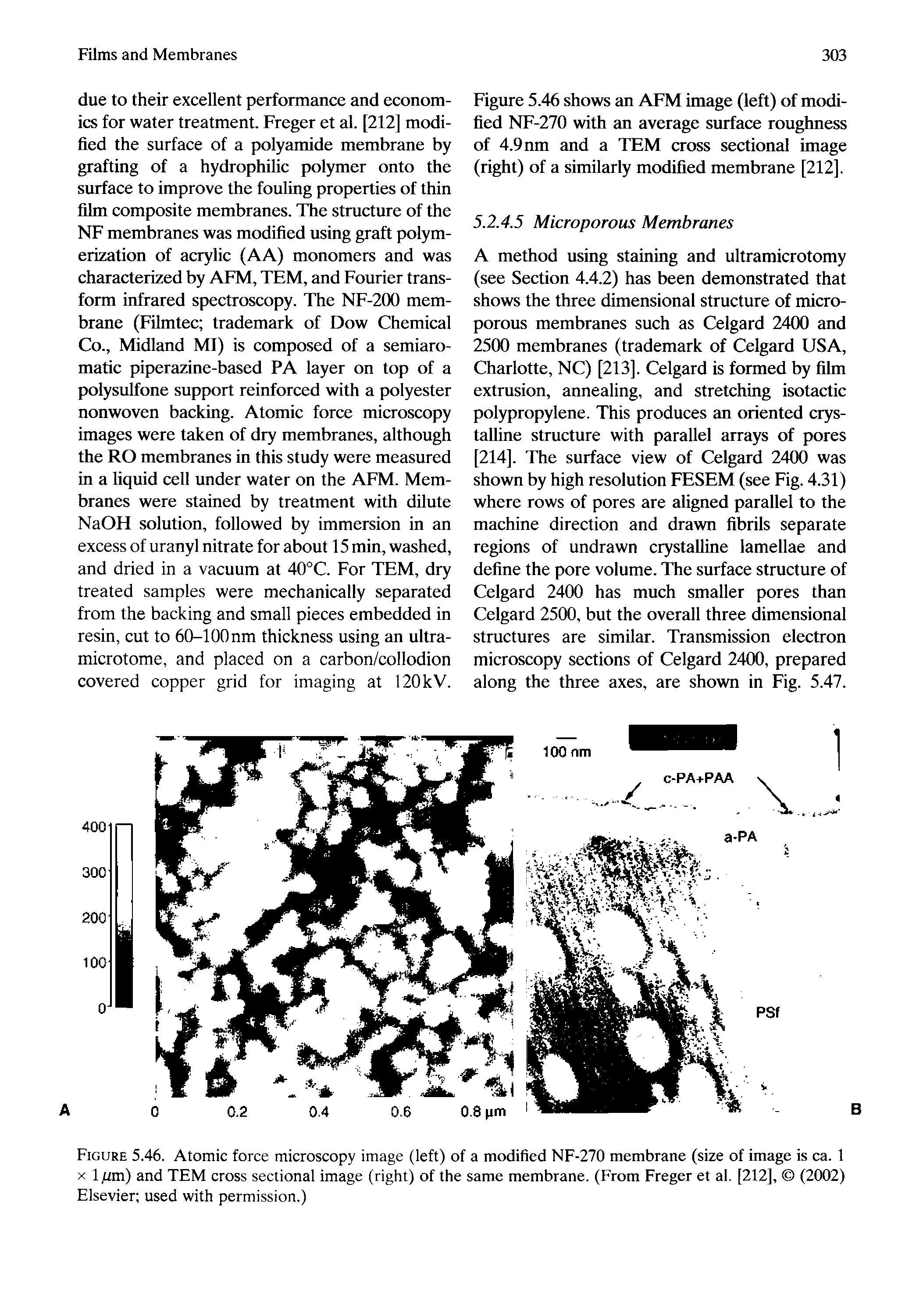 Figure 5.46. Atomic force microscopy image (left) of a modified NF-270 membrane (size of image is ca. 1 X 1 pxa) and TEM cross sectional image (right) of the same membrane. (From Freger et al. [212], (2002) Elsevier used with permission.)...