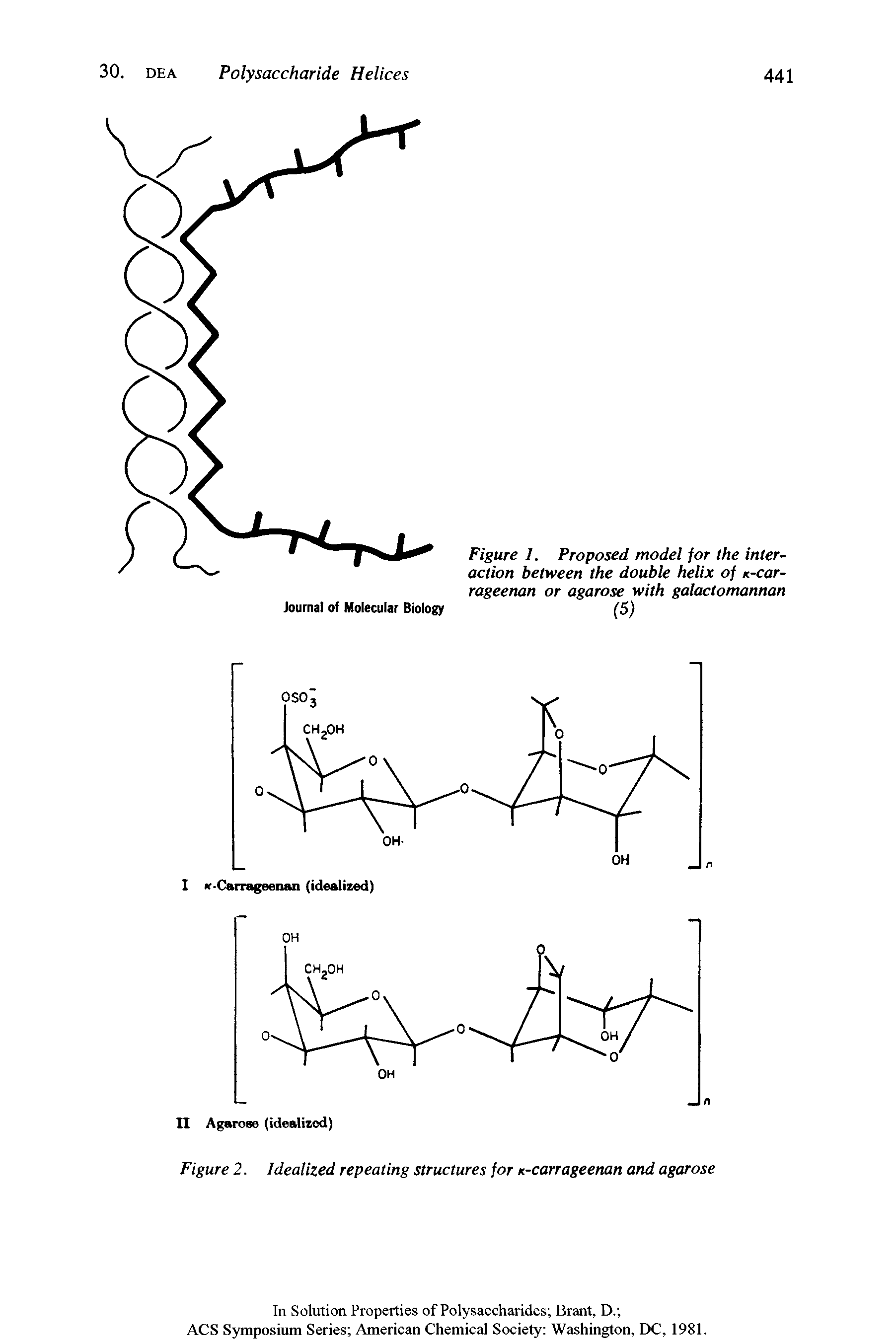 Figure 1. Proposed model for the interaction between the double helix of k-cot-rageenan or agarose with galactomannan...