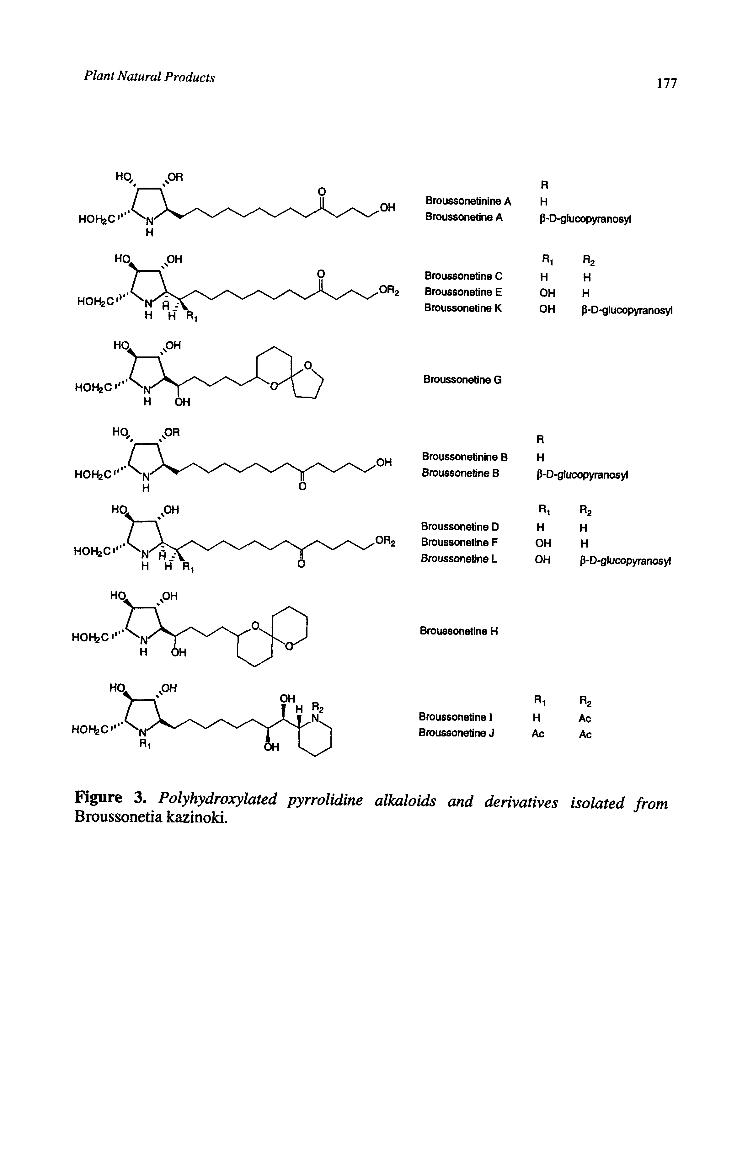 Figure 3. Polyhydroxylated pyrrolidine alkaloids and derivatives isolated from Broussonetia kazinoki.