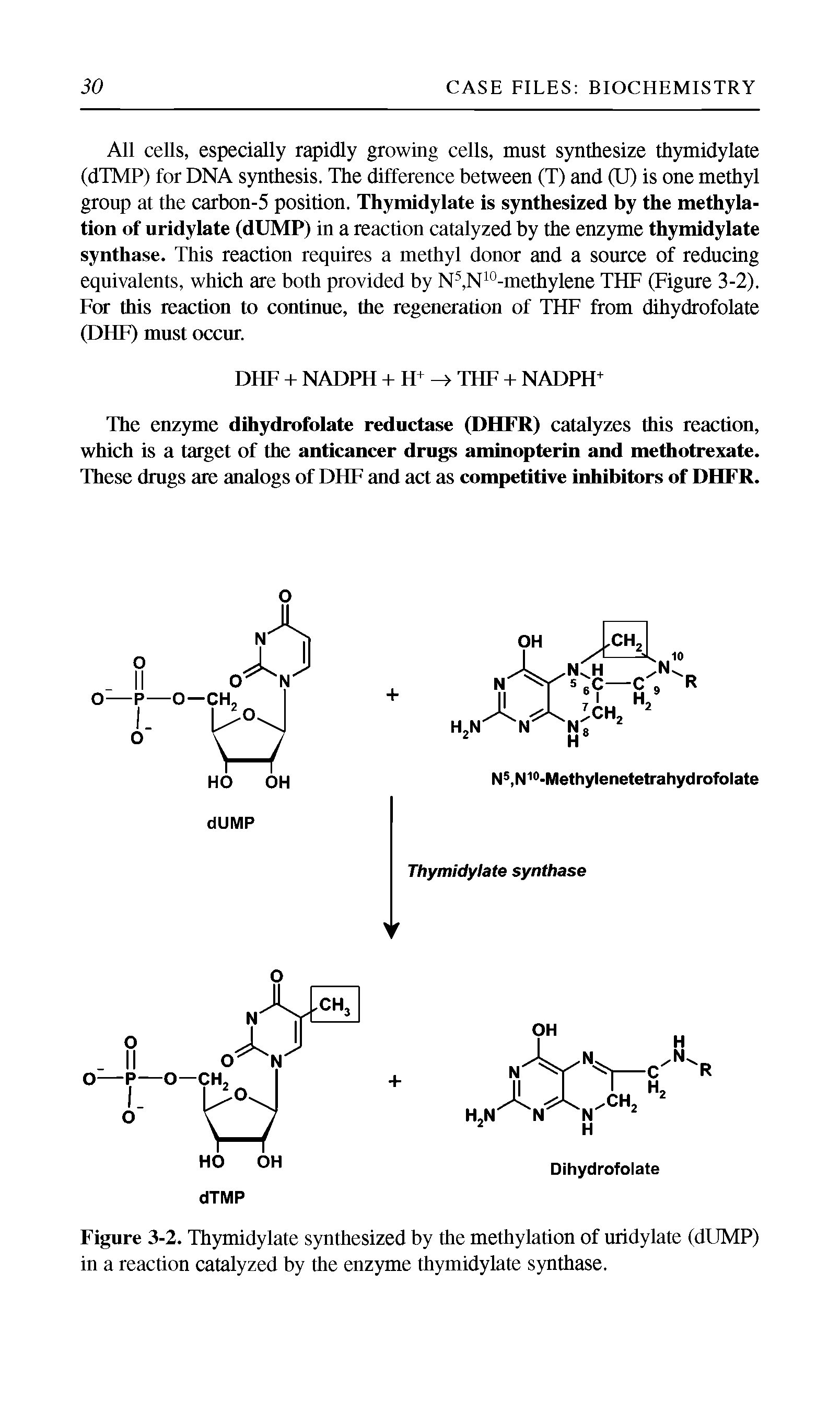 Figure 3-2. Thymidylate synthesized by the methylation of uridylate (dUMP) in a reaction catalyzed by the enzyme thymidylate synthase.