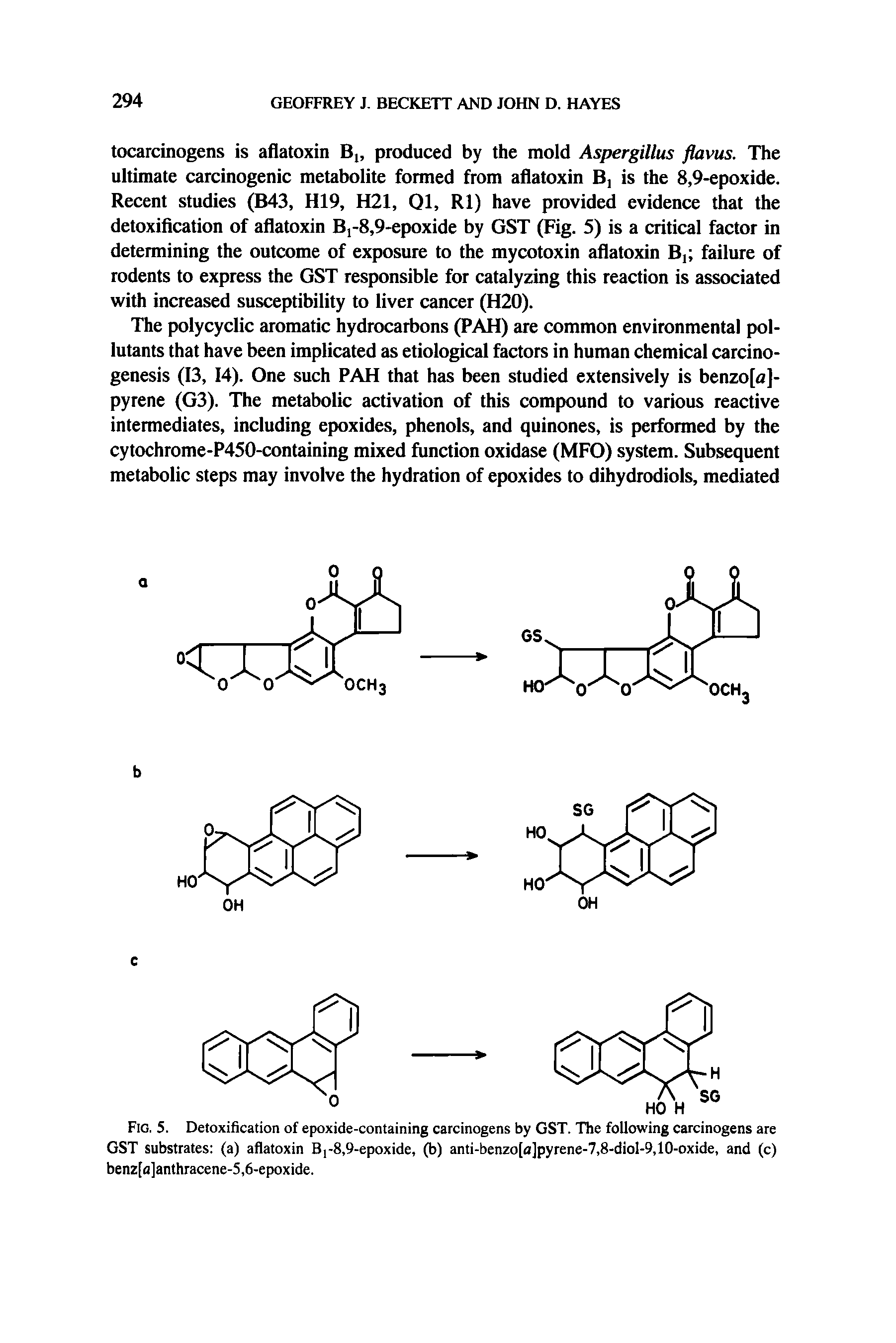 Fig. 5. Detoxification of epoxide-containing carcinogens by GST. The following carcinogens are GST substrates (a) aflatoxin Bj-8,9-epoxide, (b) anti-benzo[a]pyrene-7,8-diol-9,10-oxide, and (c) benz[fl]anthracene-5,6-epoxide.