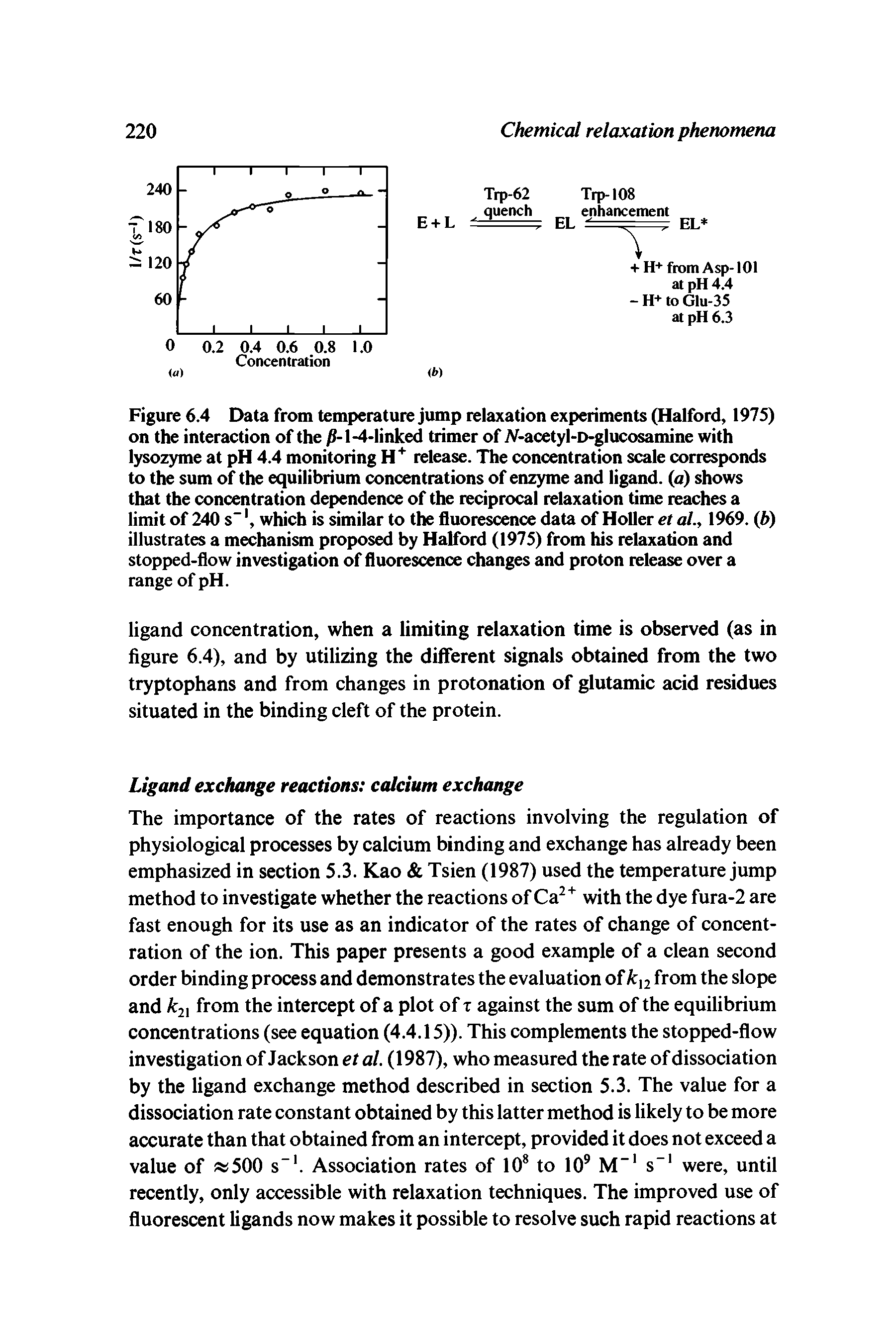 Figure 6.4 Data from temperature jump relaxation experiments (Halford, 1973) on the interaction of the l-4 linked riimer of M-acetyl-D lucosamine with lysozyme at pH 4.4 monitoring H release. The concentration scale corresponds to the sum of the equilibrium concentrations of enzyme and ligand, (a) shows that the concentration dependence of the reciprocal relaxation time reaches a limit of 240 s which is similar to the fluorescence data of Holler et al., 1969. (6) illustrates a mechanism proposed by Halford (1975) from his relaxation and stopped-flow investigation of fluorescence changes and proton release over a range of pH.