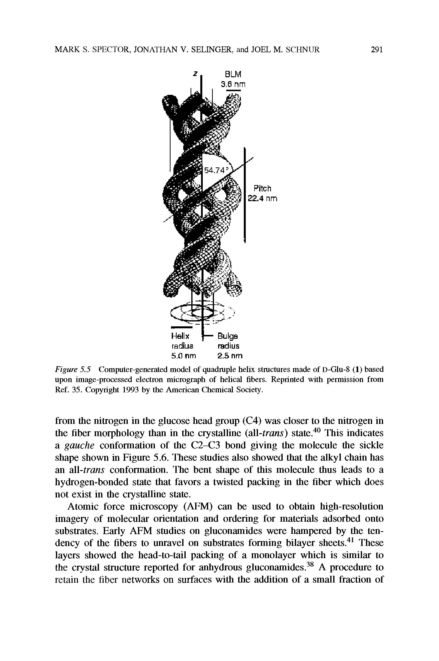 Figure 5.5 Computer-generated model of quadruple helix structures made of D-Glu-8 (1) based upon image-processed electron micrograph of helical fibers. Reprinted with permission from Ref. 35. Copyright 1993 by the American Chemical Society.