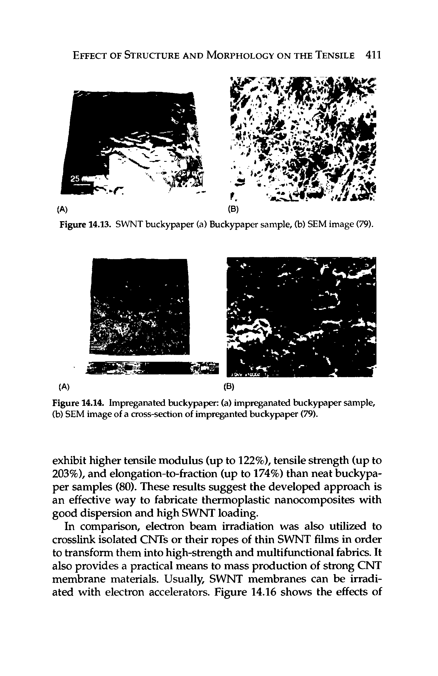 Figure 14.14. Impreganated buckypaper (a) impreganated buckypaper sample, (b) SEM image of a cross-section of impreganted buckypaper (79).