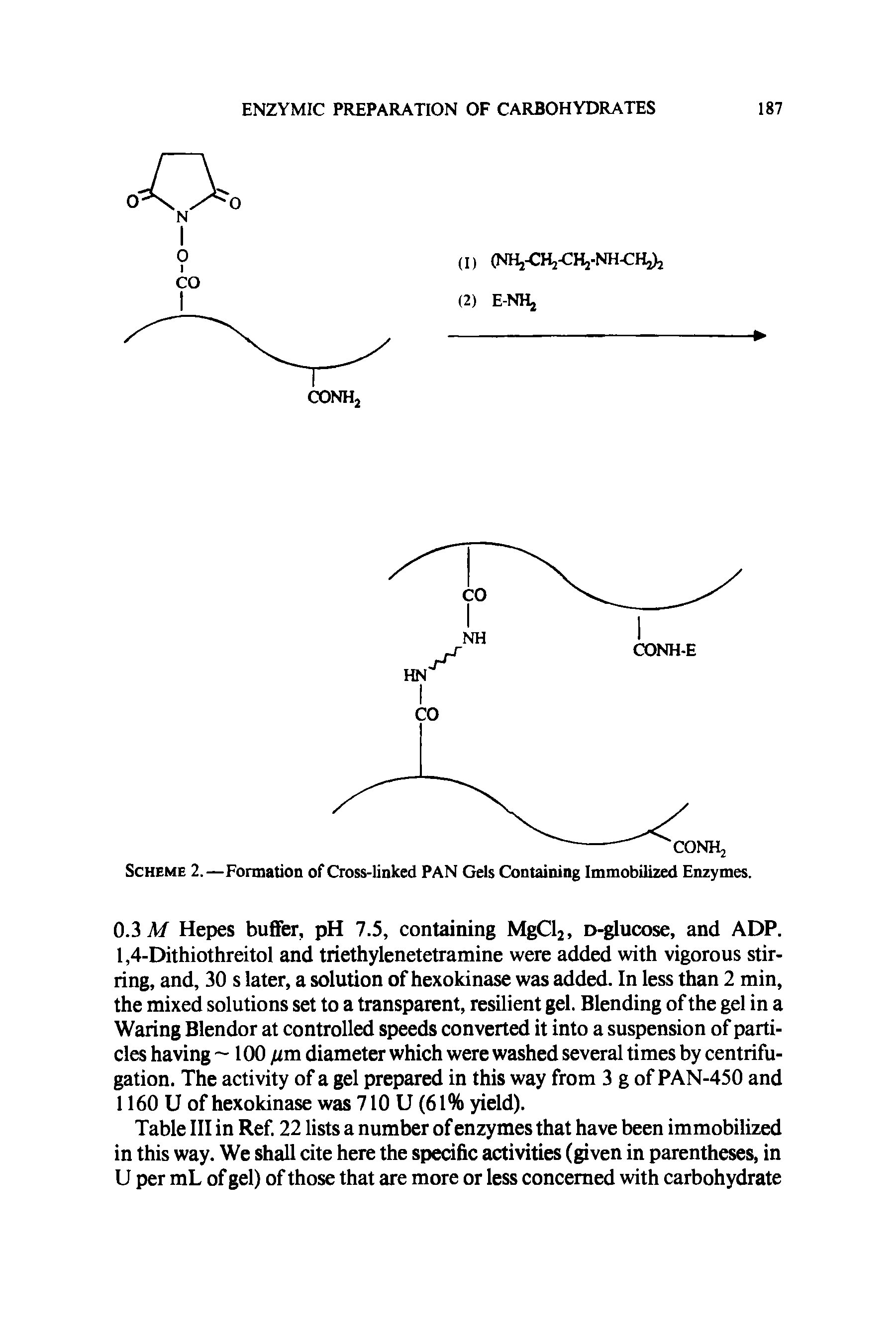 Scheme 2.—Formation of Cross-linked PAN Gels Containing Immobilized Enzymes.
