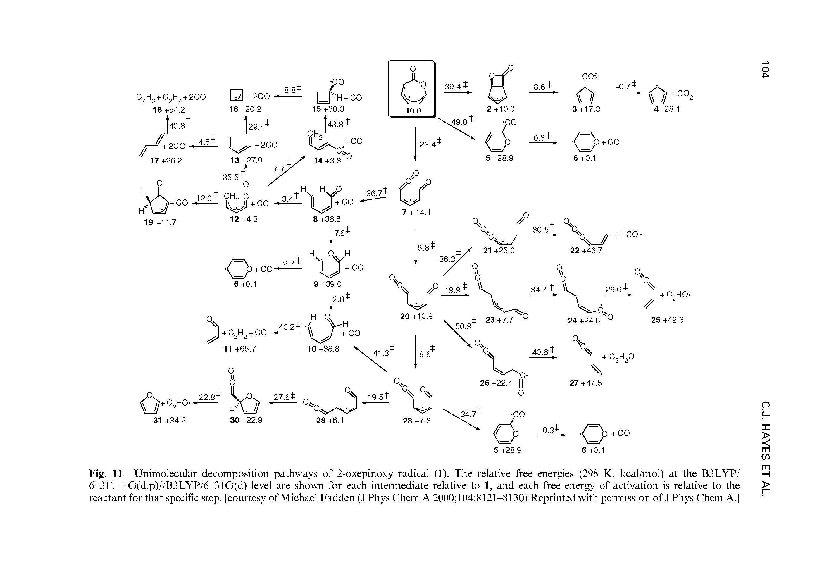 Fig. 11 Unimolecular decomposition pathways of 2-oxepinoxy radical (1). The relative free energies (298 K, kcal/mol) at the B3LYP/ 6-311 + G(d,p)//B3LYP/6-31G(d) level are shown for each intemiediate relative to 1, and each free energy of activation is relative to the reactant for that specific step, [courtesy of Michael Fadden (J Phys Chem A 2000 104 8121-8130) Reprinted with permission of J Phys Chem A.]...
