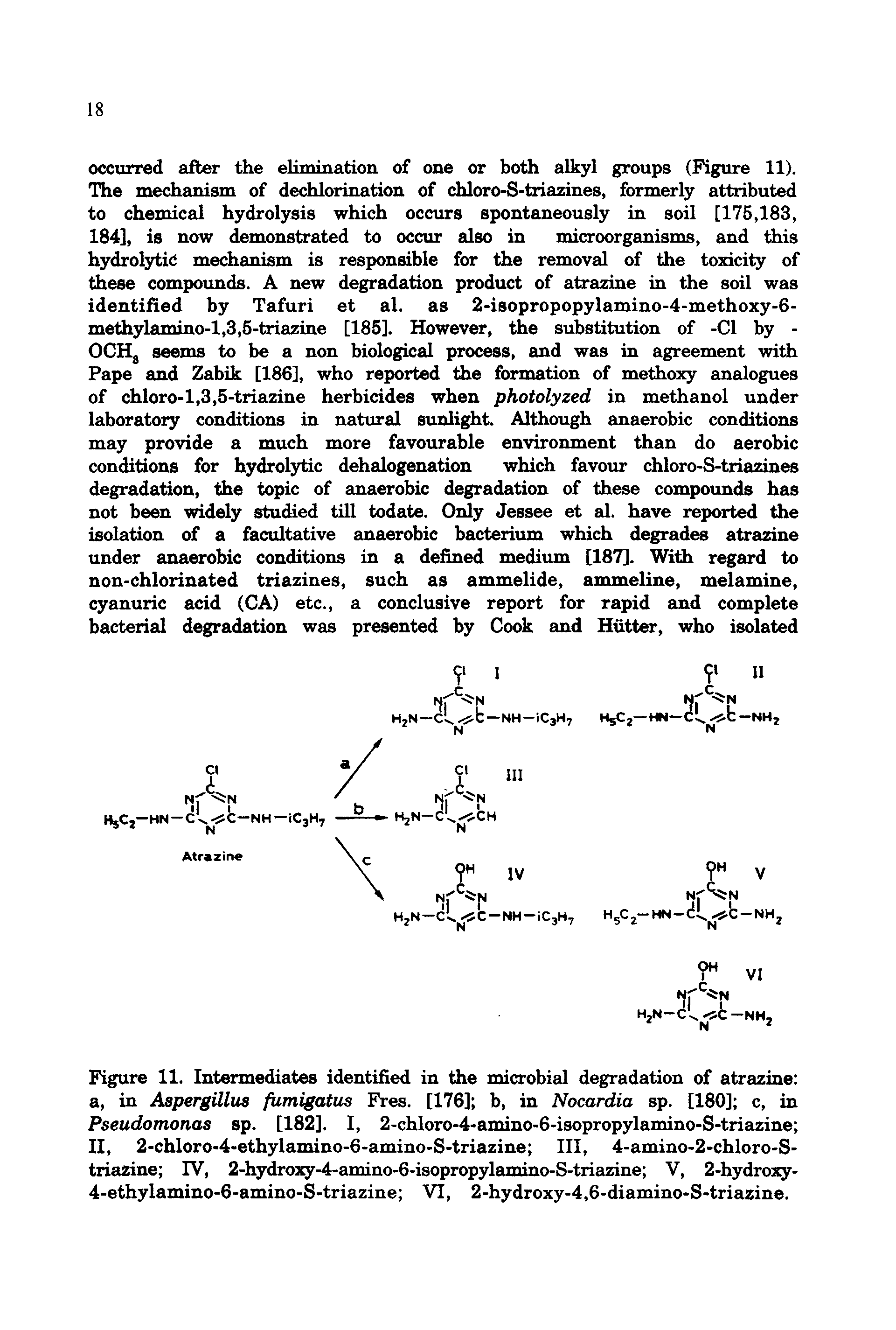 Figure 11. Intermediates identified in the microbial degradation of atrazine a, in Aspergillus fumigatus Fres. [176] b, in Nocardia sp. [180] c, in Pseudomonas sp. [182]. I, 2-chloro-4-amino-6-isopropylamino-S-triazine II, 2-chloro-4-ethylamino-6-amino-S-triazine III, 4-amino-2-chloro-S-triasine IV, 2-hydro3y-4-amino-6-isopropylamino-S-triazine V, 2-hydroxy-4-ethylamino-6-amino-S-triazine VI, 2-hydroxy-4,6-diamino-S-triazine.
