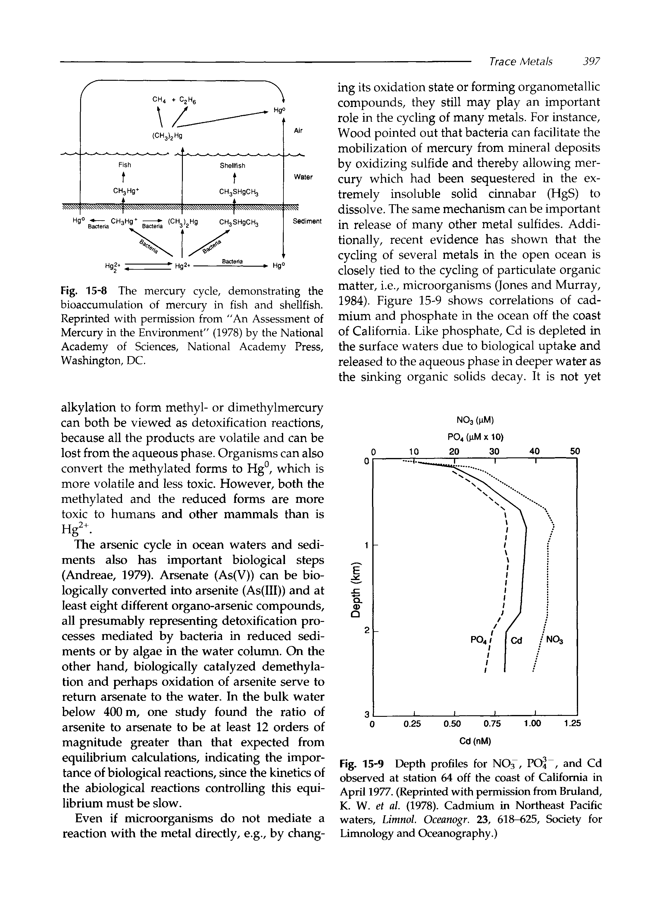 Fig. 15-8 The mercury cycle, demonstrating the bioaccumulation of mercury in fish and shellfish. Reprinted with permission from An Assessment of Mercury in the Environment" (1978) by the National Academy of Sciences, National Academy Press, Washington, DC.