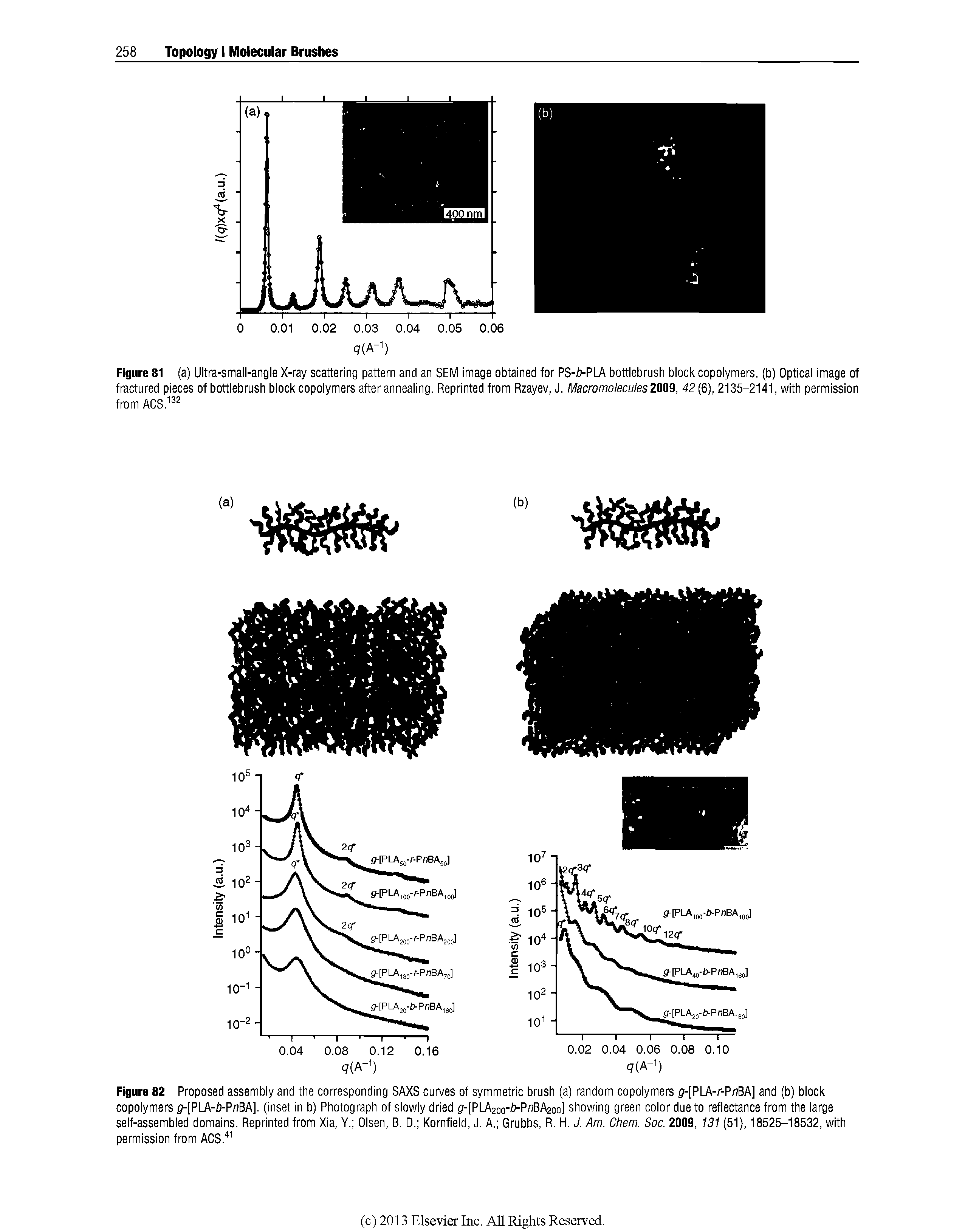 Figure 82 Proposed assembly and the corresponding SAXS curves of symmetric brush (a) random copolymers g(-[PLA-r-P/iBA] and (b) block copolymers g(-[PLA-b-P/iBA]. (inset in b) Photograph of slowly dried 0-[PLA2oo-i-PftBA2oo] showing green color due to reflectance from the large self-assembled domains. Reprinted from Xia, Y. Olsen, B. D. Kornfield, J. A. Grubbs, R. H. J. Am. Chem. Soc. 2009, 131 (51), 18525-18532, with permission from ACS. ...