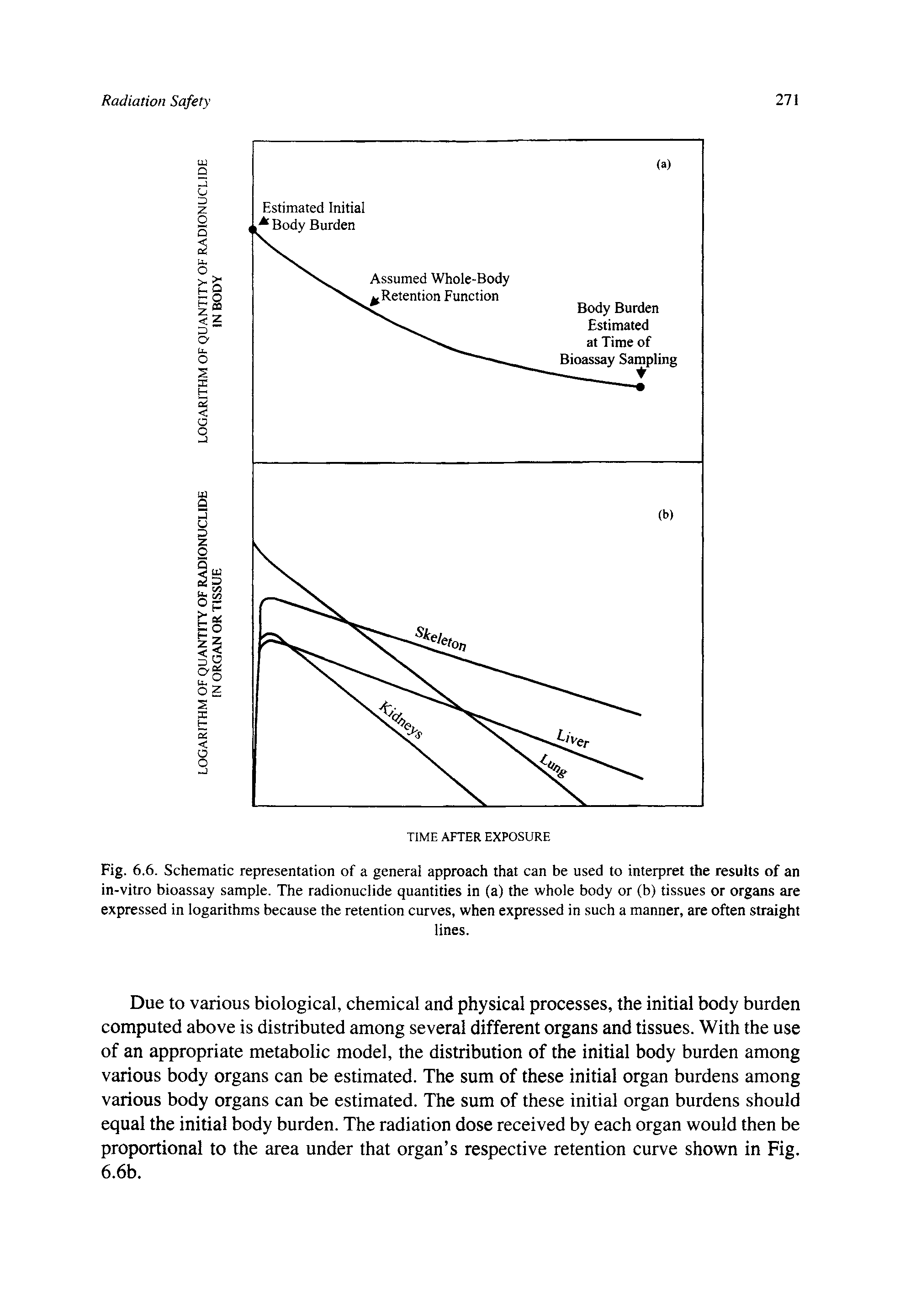 Fig. 6.6. Schematic representation of a general approach that can be used to interpret the results of an in-vitro bioassay sample. The radionuclide quantities in (a) the whole body or (b) tissues or organs are expressed in logarithms because the retention curves, when expressed in such a manner, are often straight...