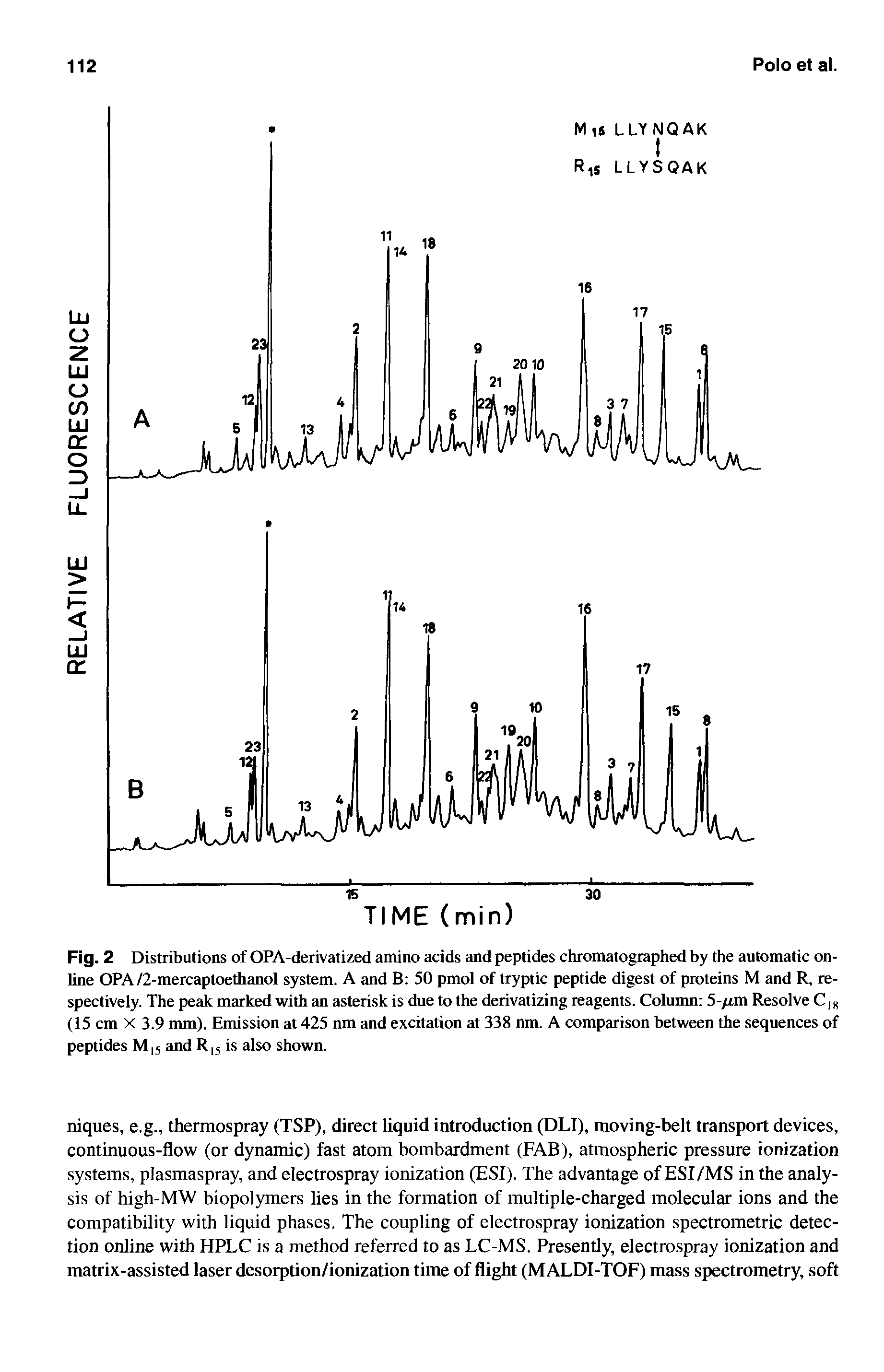 Fig. 2 Distributions of OPA-derivatized amino acids and peptides chromatographed by the automatic online OPA/2-mercaptoethanol system. A and B 50 pmol of tryptic peptide digest of proteins M and R, respectively. The peak marked with an asterisk is due to the derivatizing reagents. Column 5-/zm Resolve C, (15 cm X 3.9 mm). Emission at 425 nm and excitation at 338 nm. A comparison between the sequences of peptides M,5 and R,5 is also shown.