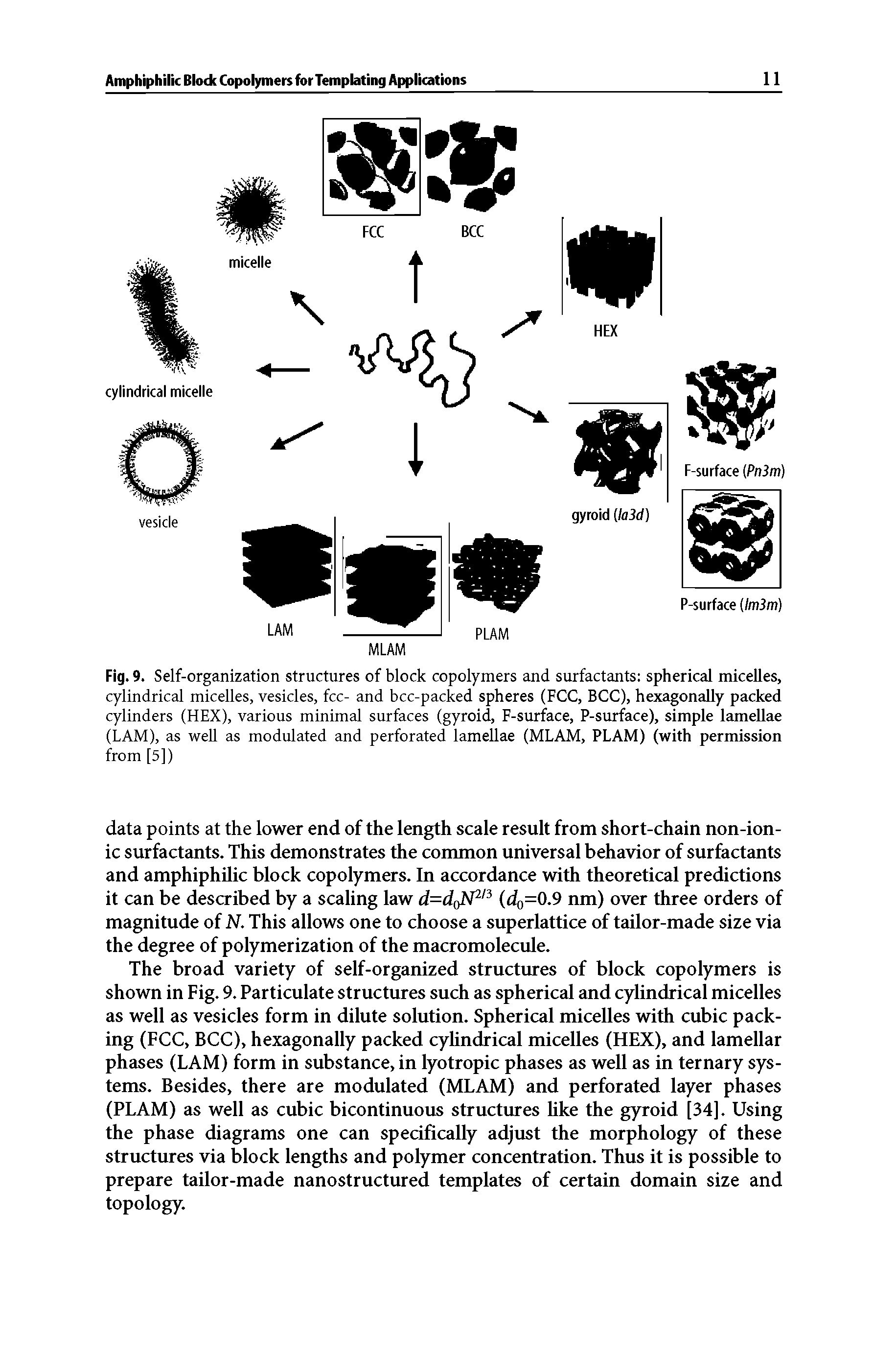 Fig. 9. Self-organization structures of block copolymers and surfactants spherical micelles, cylindrical micelles, vesicles, fee- and bcc-packed spheres (FCC, BCC), hexagonaUy packed cylinders (HEX), various minimal surfaces (gyroid, F-surface, P-surface), simple lamellae (LAM), as well as modulated and perforated lamellae (MLAM, PLAM) (with permission from [5])...
