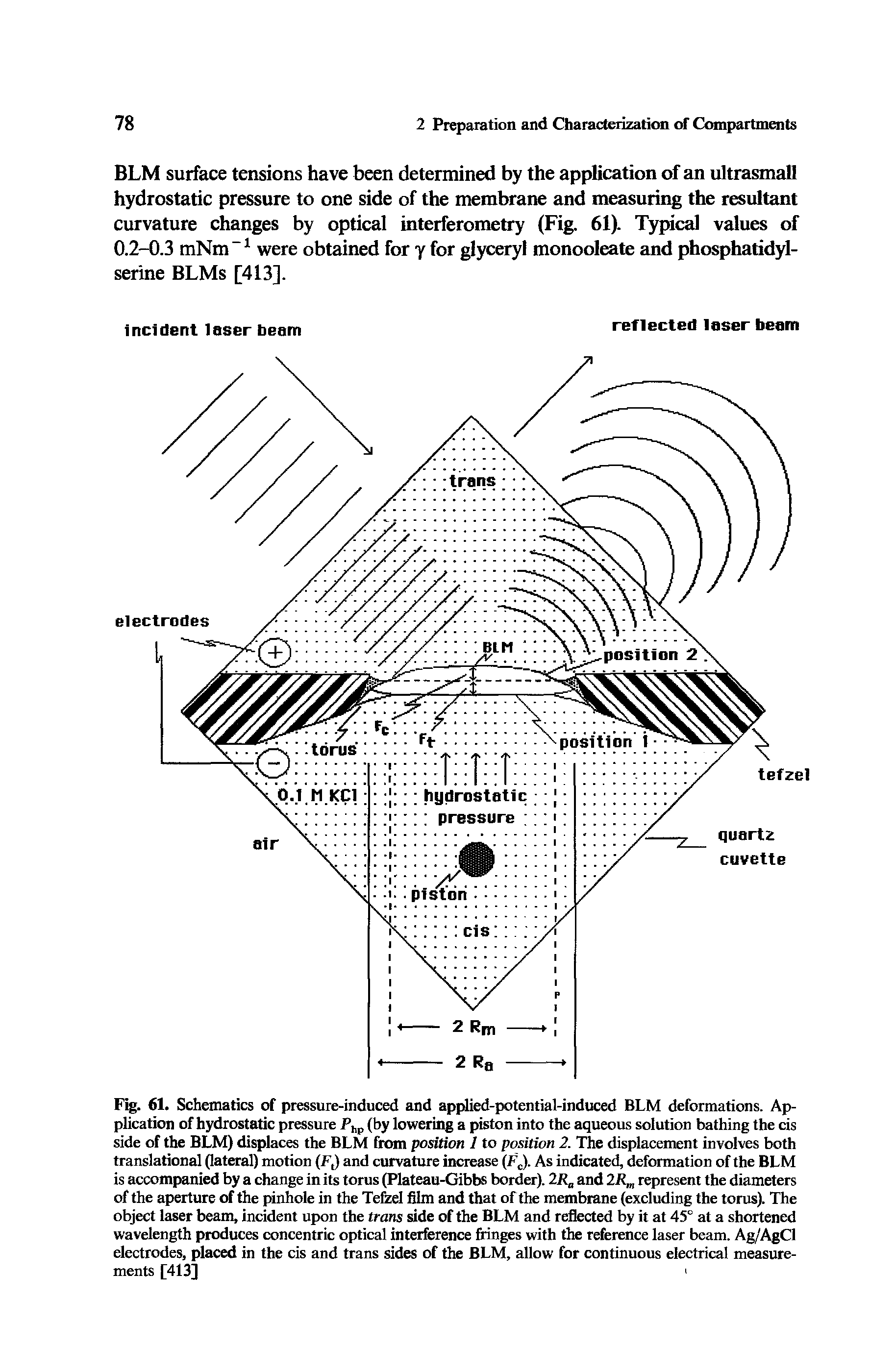 Fig. 61. Schematics of pressure-induced and applied-potential-induced BLM deformations. Application of hydrostatic pressure (by lowering a piston into the aqueous solution bathing the cis side of the BLM) displaces the BLM from position 1 to position 2. The displacement involves both translational (lateral) motion (Ft) and curvature increase (Fc). As indicated, deformation of the BLM is accompanied by a change in its torus (Plateau-Gibbs border). 2R and 2Rm represent the diameters of the aperture of the pinhole in the Tefzel film and that of the membrane (excluding the torus). The object laser beam, incident upon the trans side of the BLM and reflected by it at 45° at a shortened wavelength produces concentric optical interference fringes with the reference laser beam. Ag/AgCl electrodes, placed in the cis and trans sides of the BLM, allow for continuous electrical measurements [413]...