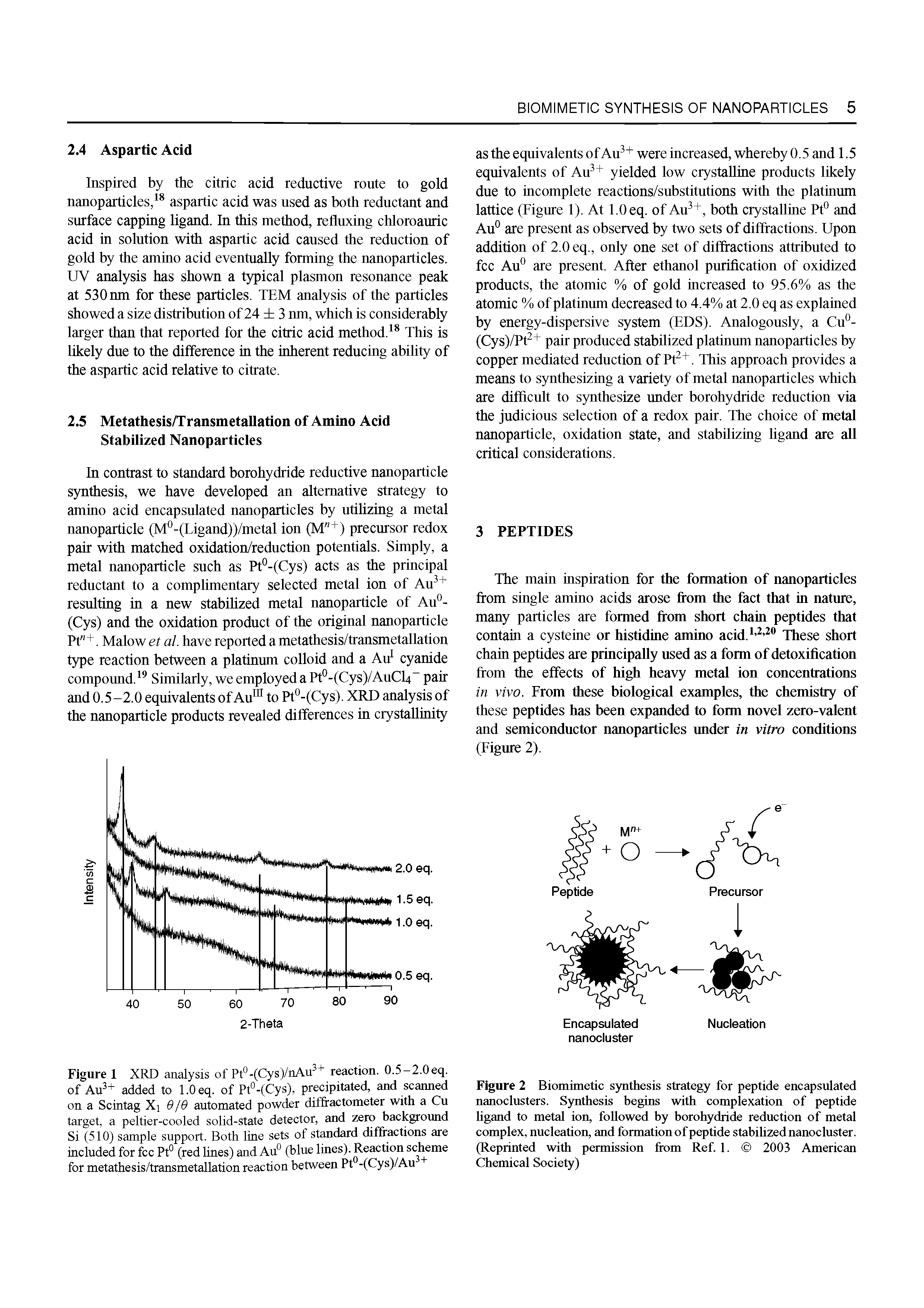 Figure 2 Biomimetic synthesis strategy for peptide encapsulated nanoclusters. Synthesis begins with complexation of peptide hgand to metal ion, followed by borohydride reduction of metal complex, nucleation, and formation of peptide stabilized nanocluster. (Reprinted with permission from Ref. 1. 2003 American Chemical Society)...