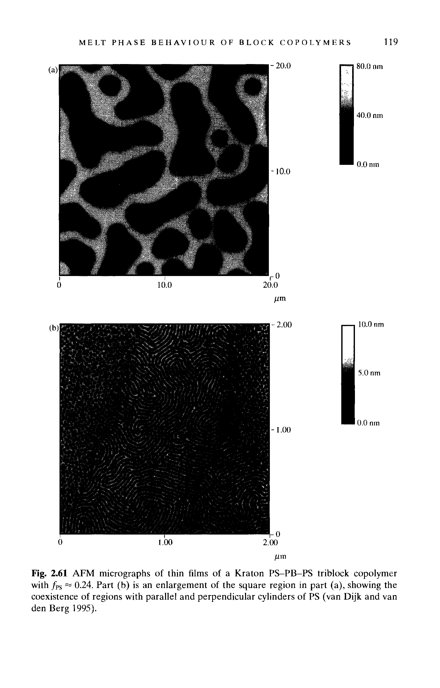 Fig. 2.61 AFM micrographs of thin films of a Kraton PS-PB-PS triblock copolymer with /pS == 0.24. Part (b) is an enlargement of the square region in part (a), showing the coexistence of regions with parallel and perpendicular cylinders of PS (van Dijk and van den Berg 1995).