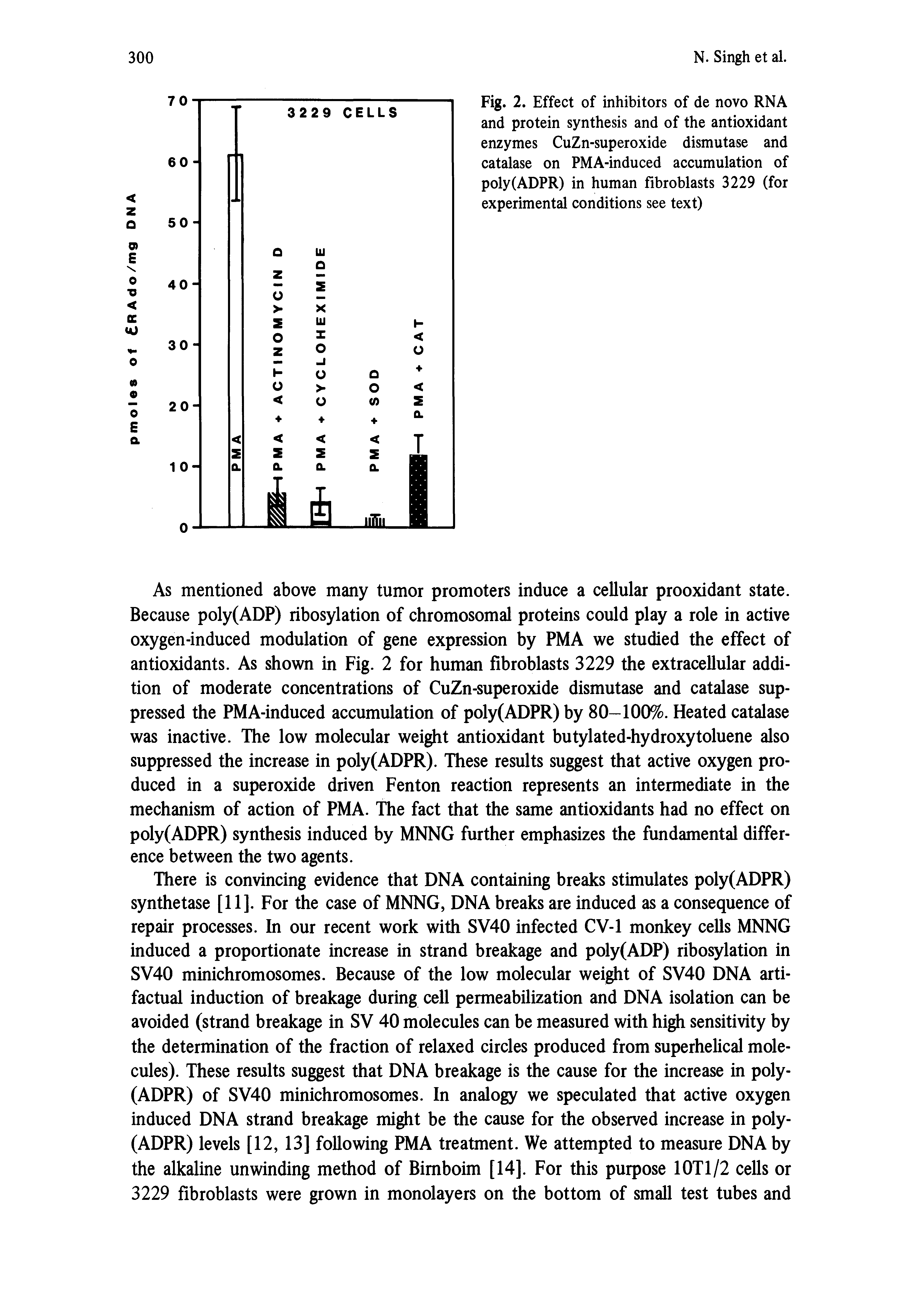 Fig. 2. Effect of inhibitors of de novo RNA and protein synthesis and of the antioxidant enzymes CuZn-superoxide dismutase and catalase on PMA-induced accumulation of poly(ADPR) in human fibroblasts 3229 (for experimental conditions see text)...