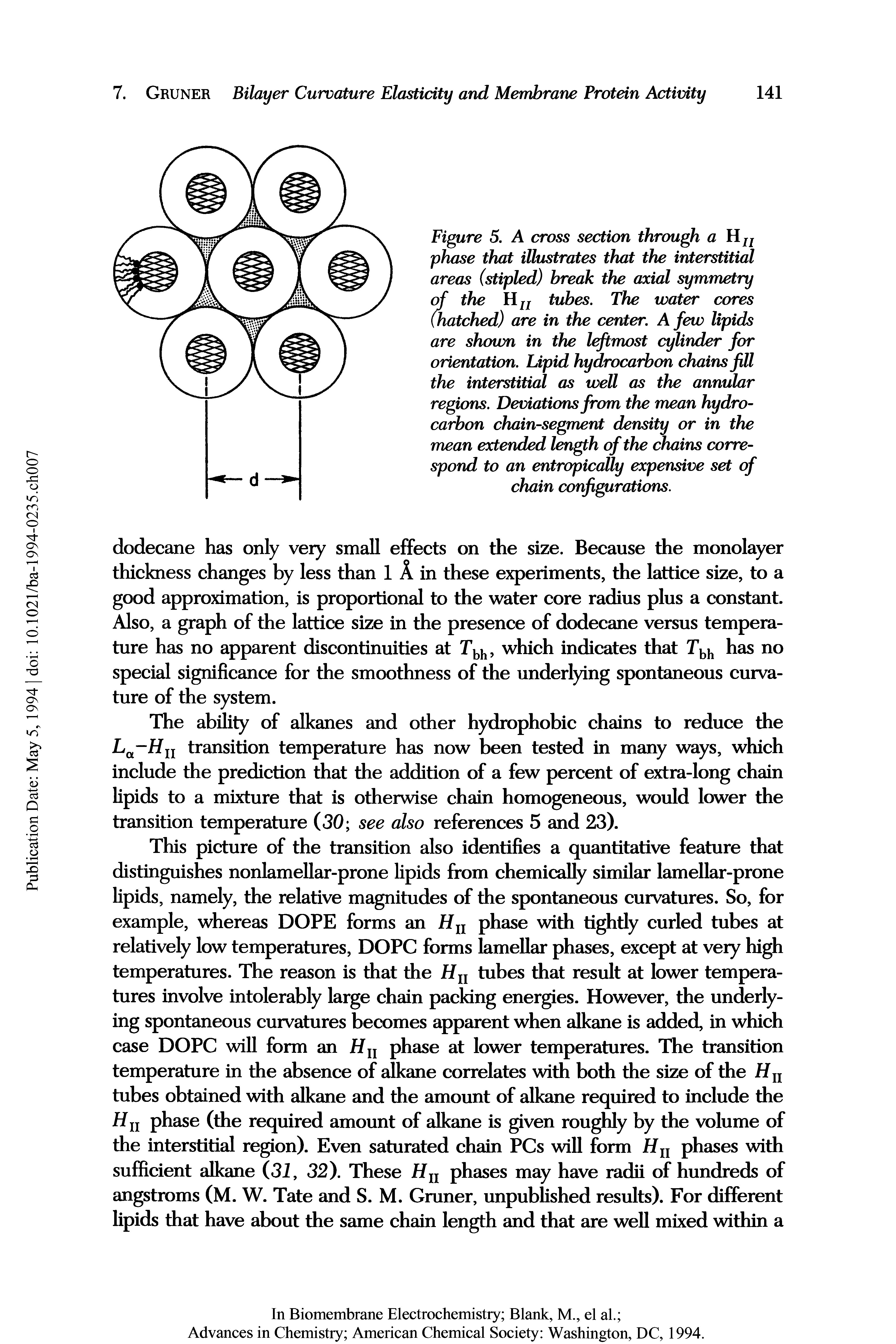 Figure 5. A cross section through a Hz/ phase that illustrates that the interstitial areas (stipled) break the axial symmetry of the Hu tubes. The water cores (hatched) are in the center. A few lipids are shown in the leftmost cylinder for orientation. Lipid hydrocarbon chains fill the interstitial as well as the annular regions. Deviations from the mean hydrocarbon chain-segment density or in the mean extended length of the chains correspond to an entropically expensive set of chain configurations.