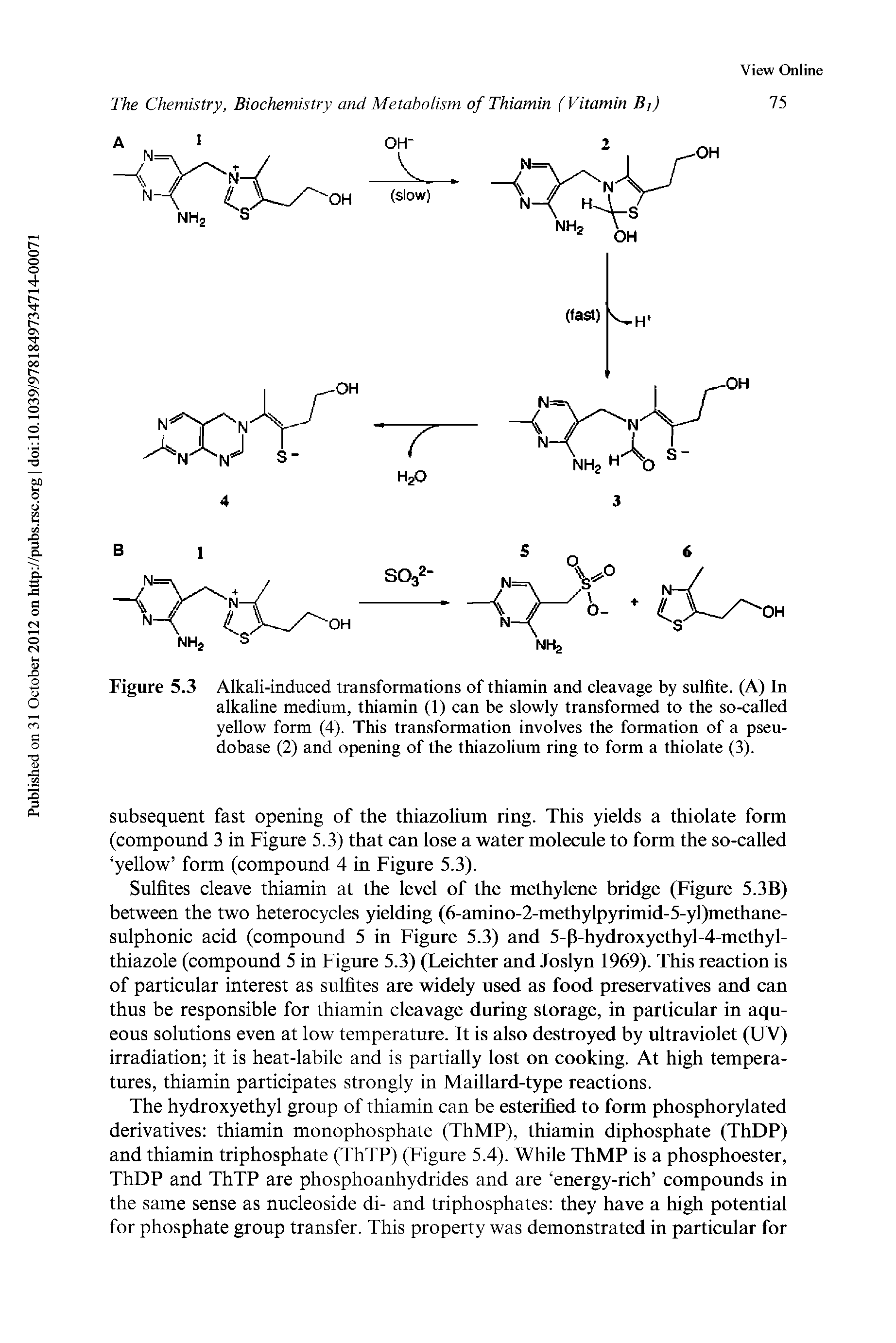 Figure 5.3 Alkali-induced transformations of thiamin and cleavage by sulfite. (A) In alkaline medium, thiamin (1) can be slowly transformed to the so-called yellow form (4). This transformation involves the formation of a pseudobase (2) and opening of the thiazolium ring to form a thiolate (3).
