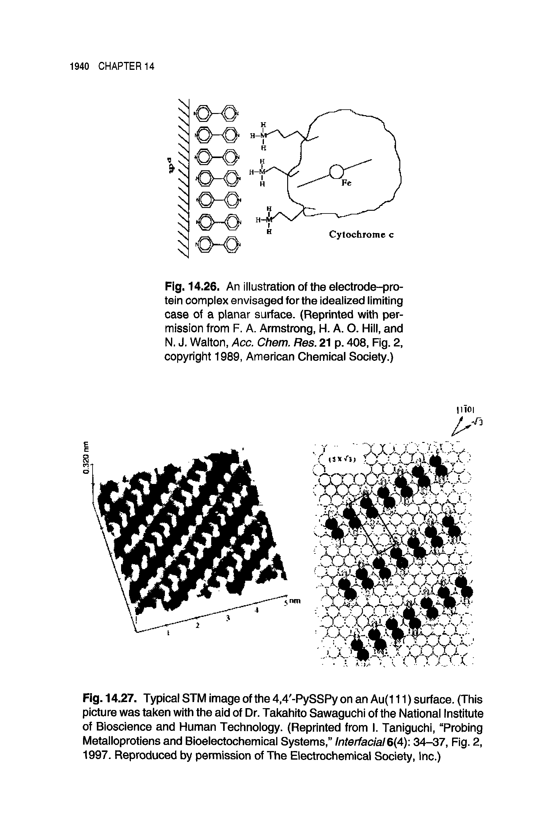 Fig. 14.27. Typical STM image of the 4,4 -PySSPy on an Au(111) surface. (This picture was taken with the aid of Dr. Takahito Sawaguchi of the National Institute of Bioscience and Human Technology. (Reprinted from I. Taniguchi, Probing Metalloprotiens and Bioelectochemical Systems, Interfacial6(4) 34-37, Fig. 2, 1997. Reproduced by permission of The Electrochemical Society, Inc.)...