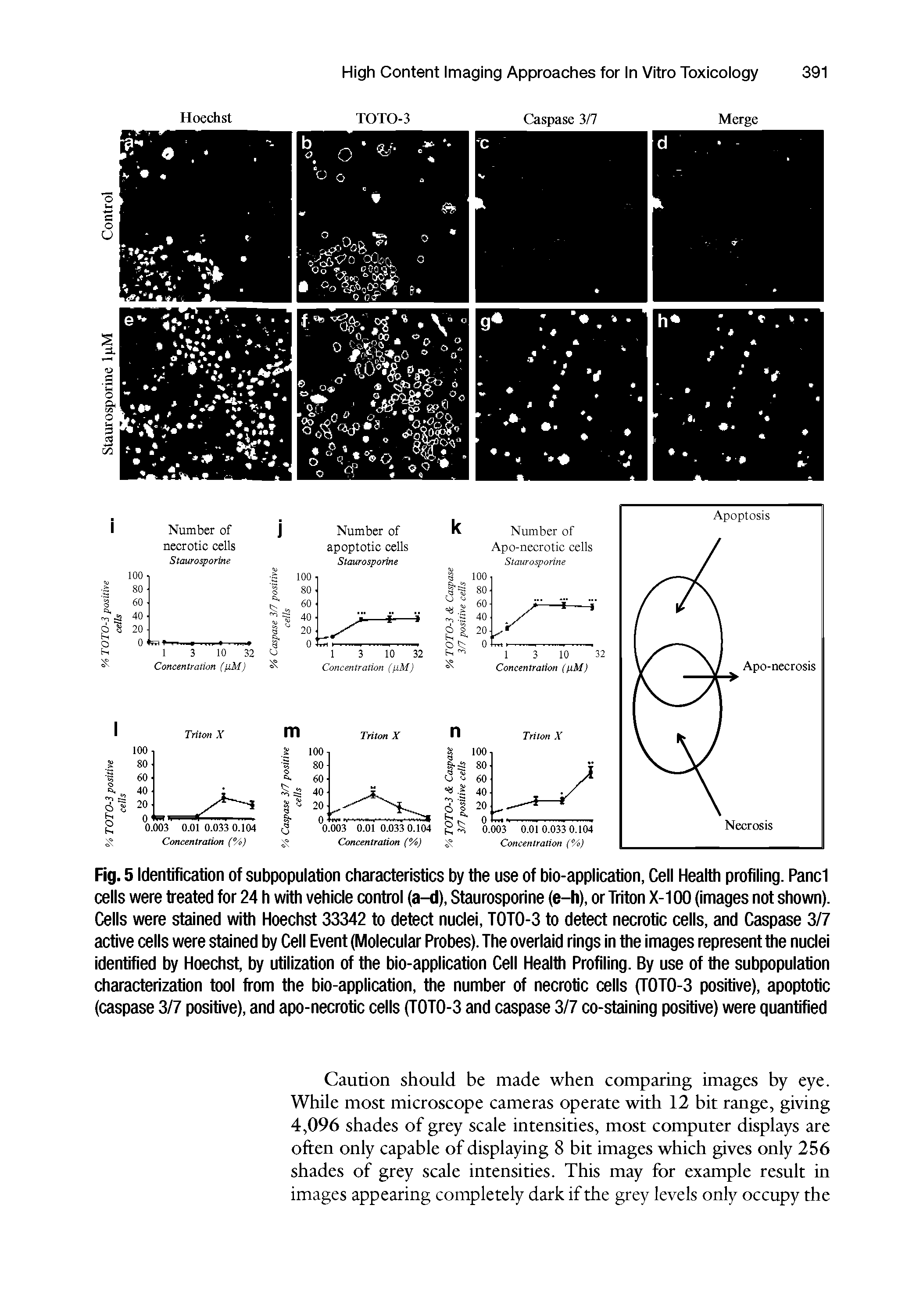 Fig. 5 Identification of subpopulation characteristics by the use of bio-application, Cell Health profiling. Panel cells were treated for 24 h with vehicle control (a—d), Staurosporine (e-h), or Triton X-100 (images not shown). Cells were stained with Hoechst 33342 to detect nuclei, TOTO-3 to detect necrotic cells, and Caspase 3/7 active cells were stained by Cell Event (Molecular Probes). The overlaid rings in the images represent the nuclei identified by Hoechst, by utilization of the bio-application Cell Health Profiling. By use of the subpopulation characterization tool from the bio-application, the number of necrotic cells (TOTO-3 positive), apoptotic (caspase 3/7 positive), and apo-necrotic cells (TOTO-3 and caspase 3/7 co-staining positive) were quantified...