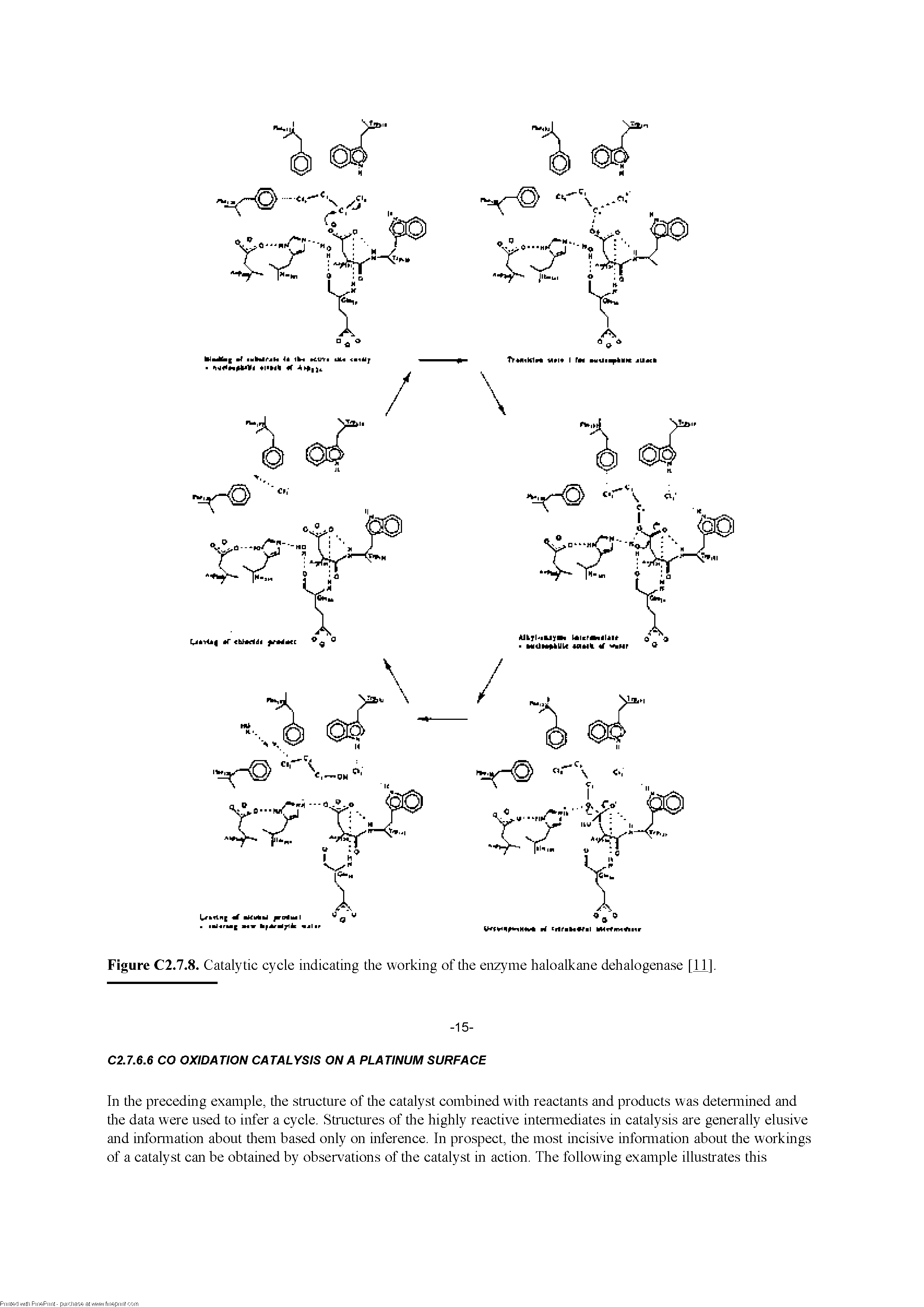 Figure C2.7.8. Catalytic cycle indicating the working of tire enzyme haloalkane dehalogenase [11],...