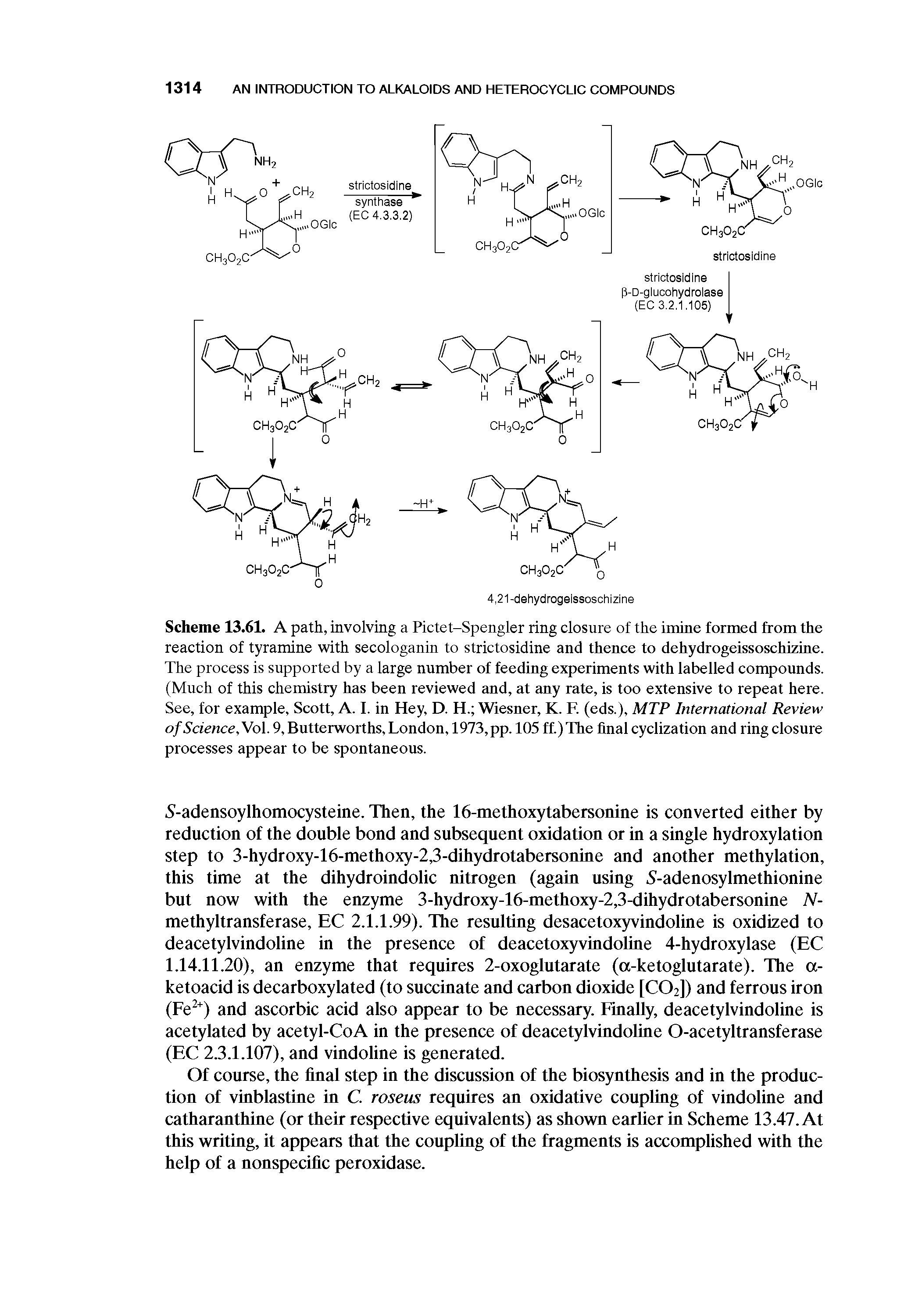 Scheme 13.61. A path, involving a Pictet-Spengler ring closure of the imiue formed from the reaction of tyramine with secologanin to strictosidine and thence to dehydrogeissoschizine. The process is supported by a large number of feeding experiments with labelled compounds. (Much of this chemistry has been reviewed and, at any rate, is too extensive to repeat here. See, for example, Scott, A. I. in Hey, D. H. Wiesner, K. F. (eds.), MTP International Review ofScience Vol. 9, Butterworths, London, 1973,pp. 105 ft) The final cyclization and ring closure processes appear to be spontaneous.