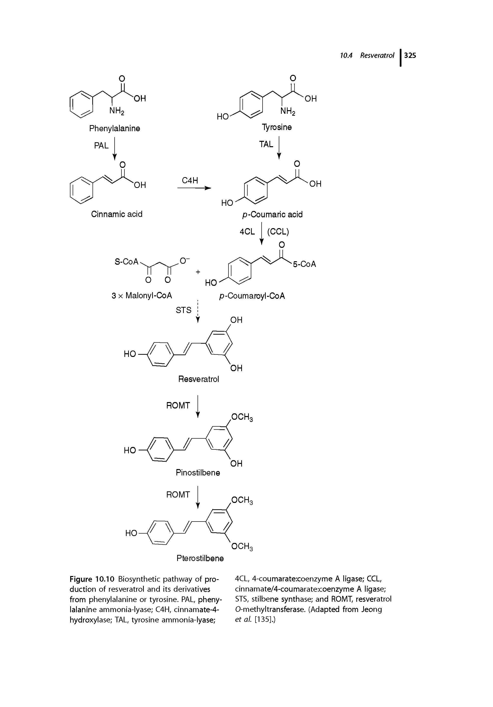 Figure 10.10 Biosynthetic pathway of pro- 4CL, 4-coumarate coenzyme A iigase CCL, duction of resveratrol and its derivatives cinnamate/4-coumarate coenzyme A Iigase from phenylalanine or tyrosine. PAL, pheny- STS, stilbene synthase and ROMT, resveratrol lalanine ammonia-lyase C4H, clnnamate-4- 0-methyltransferase. (Adapted from Jeong hydroxylase TAL, tyrosine ammonla-lyase et al. [135].)...
