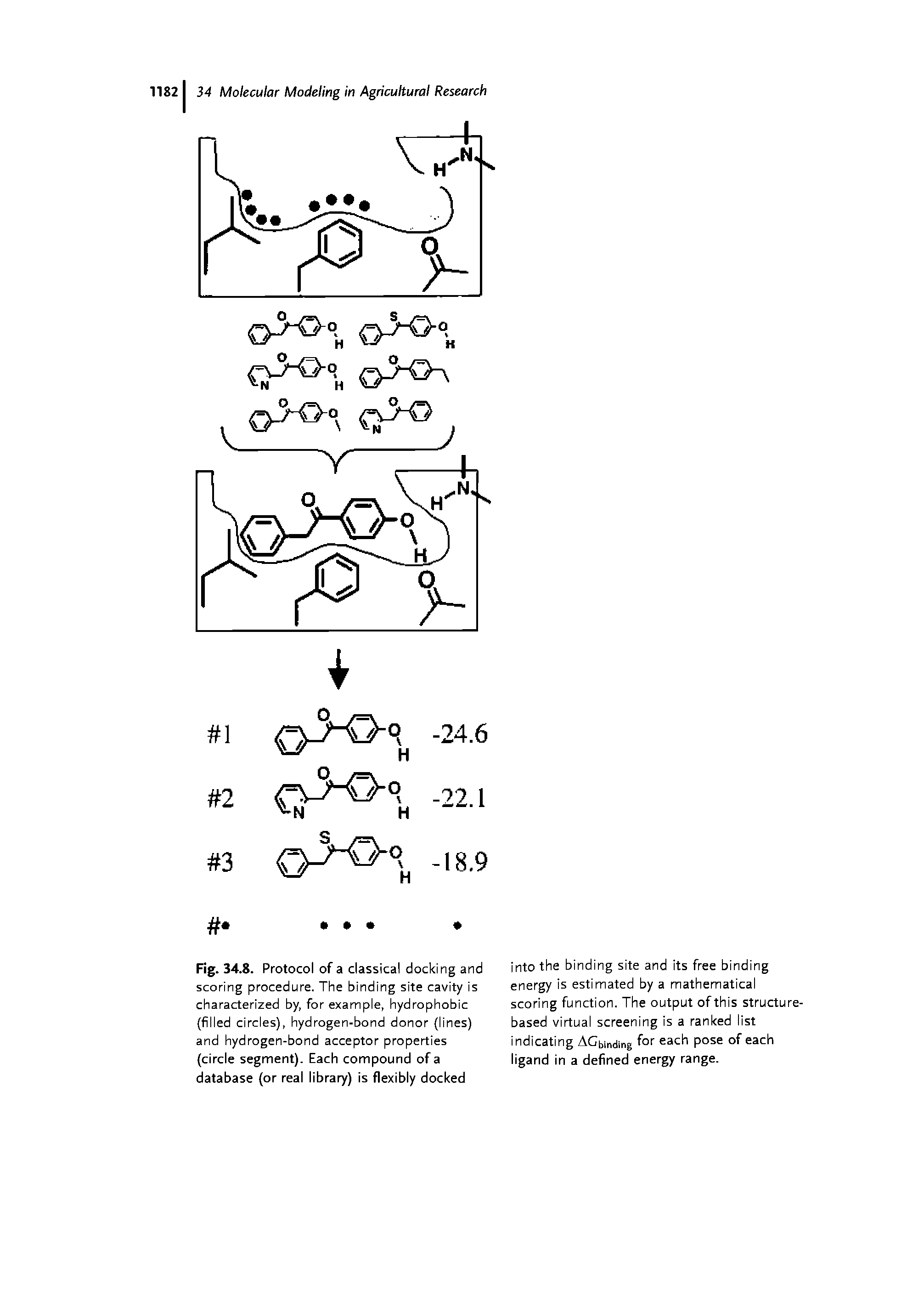 Fig. 34.8. Protocol of a classical clocking and scoring procedure. The binding site cavity is characterized by, for example, hydrophobic filled circles), hydrogen-bond donor (lines) and hydrogen-bond acceptor properties (circle segment). Each compound of a database (or real library) is flexibly docked...