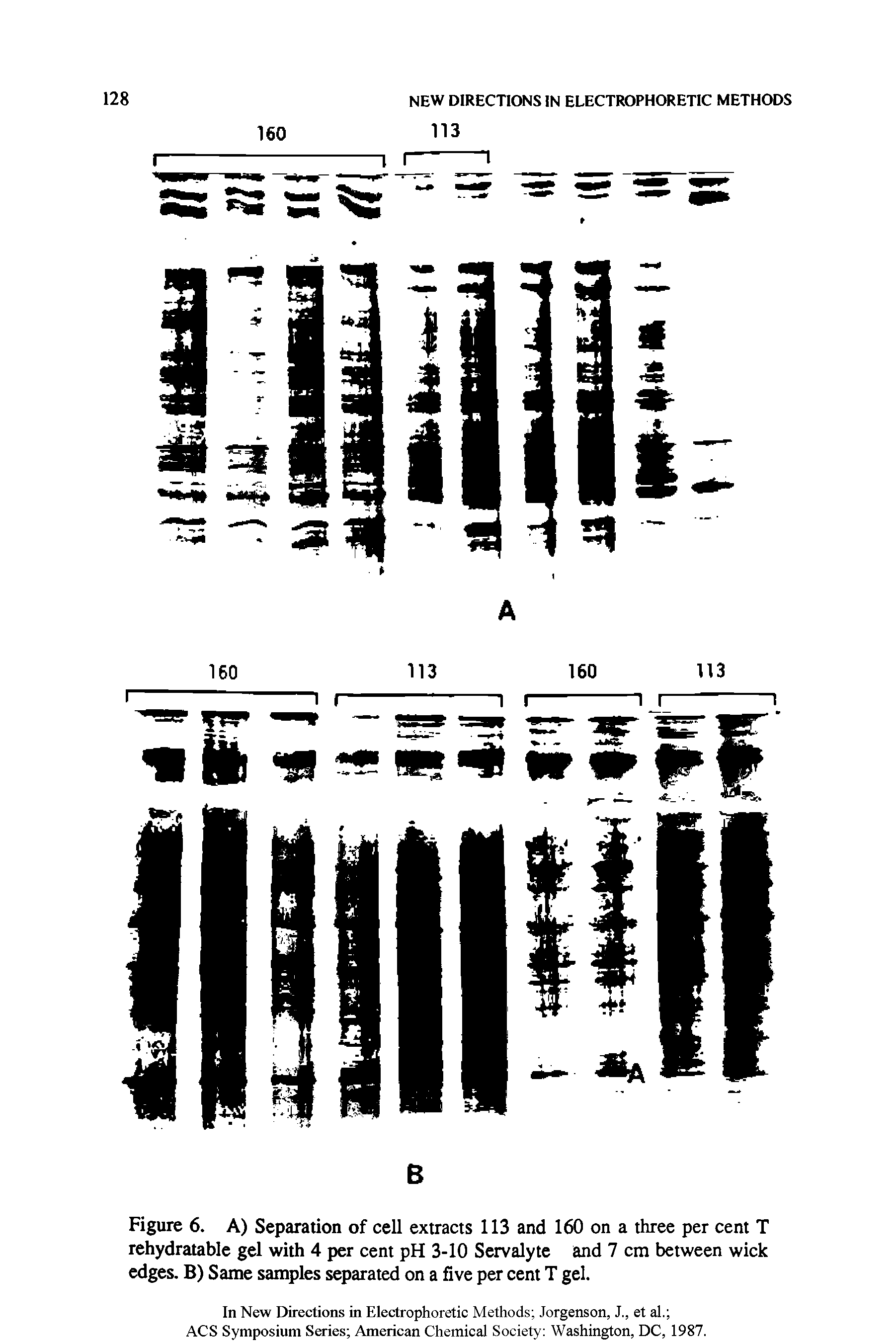 Figure 6. A) Separation of cell extracts 113 and 160 on a three per cent T rehydratable gel with 4 per cent pH 3-10 Servalyte and 7 cm between wick edges. B) Same samples separated on a five per cent T gel.