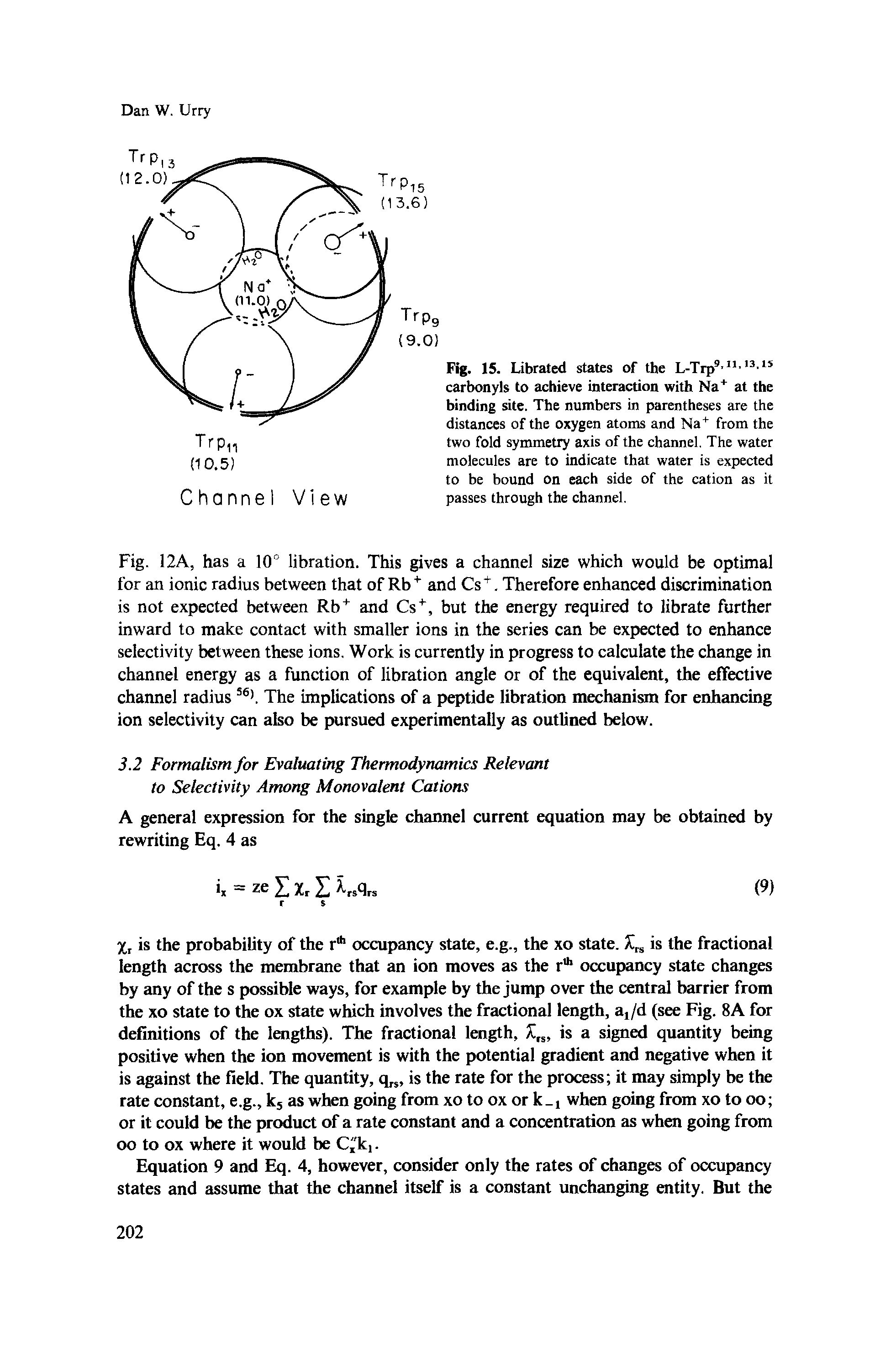 Fig. 15. Librated states of the L-Trp9 11-13-15 carbonyls to achieve interaction with Na+ at the binding site. The numbers in parentheses are the distances of the oxygen atoms and Na+ from the two fold symmetry axis of the channel. The water molecules are to indicate that water is expected to be bound on each side of the cation as it passes through the channel.