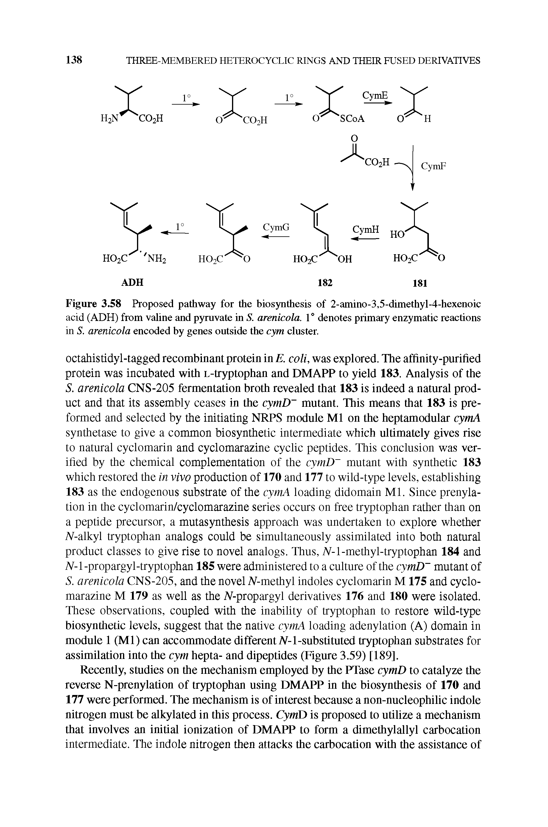 Figure 3.58 Proposed pathway for the biosynthesis of 2-amino-3,5-dimethyl-4-hexenoic acid (ADH) from valine and pyruvate in S. arenicola. 1° denotes primary enzymatic reactions in S. arenicola encoded by genes outside the cym cluster.