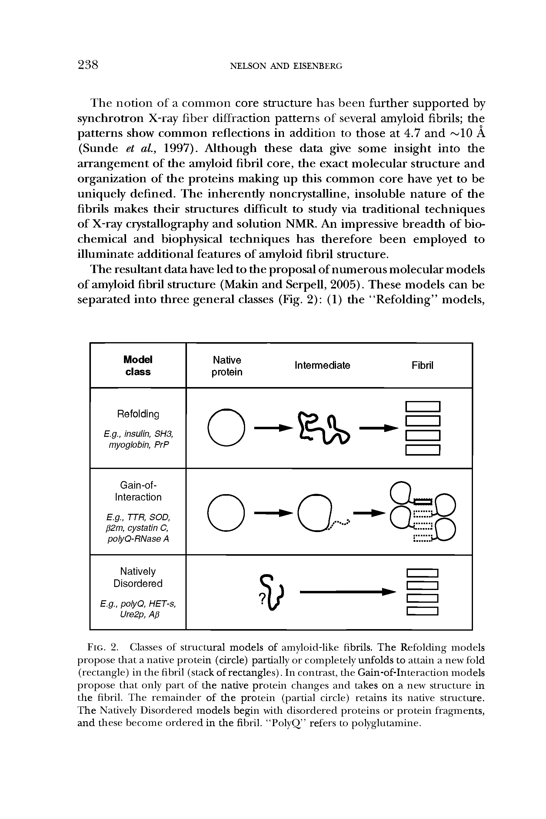 Fig. 2. Classes of structural models of amyloid-like fibrils. The Refolding models propose that a native protein (circle) partially or completely unfolds to attain a new fold (rectangle) in the fibril (stack of rectangles). In contrast, the Gain-of-Interaction models propose that only part of the native protein changes and takes on a new structure in the fibril. The remainder of the protein (partial circle) retains its native structure. The Natively Disordered models begin with disordered proteins or protein fragments, and these become ordered in the fibril. PolyQ refers to polyglutamine.