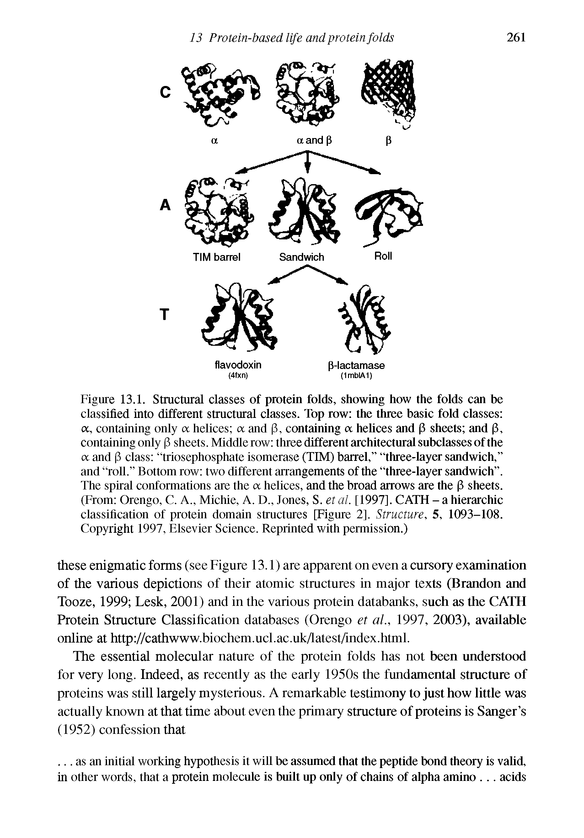 Figure 13.1. Structural classes of protein folds, showing how the folds can be classified into different structural classes. Top row the three basic fold classes a, containing only a helices a and p, containing a helices and p sheets and p, containing only p sheets. Middle row three different architectural subclasses of the a and p class triosephosphate isomerase (TIM) barrel, three-layer sandwich, and roll. Bottom row two different arrangements of the "three-layer sandwich . The spiral conformations are the a helices, and the broad arrows are the p sheets. (From Orengo, C. A., Michie, A. D., Jones, S. et al. [1997]. CATH - a hierarchic classification of protein domain structures [Figure 2]. Structure, 5, 1093-108. Copyright 1997, Elsevier Science. Reprinted with permission.)...