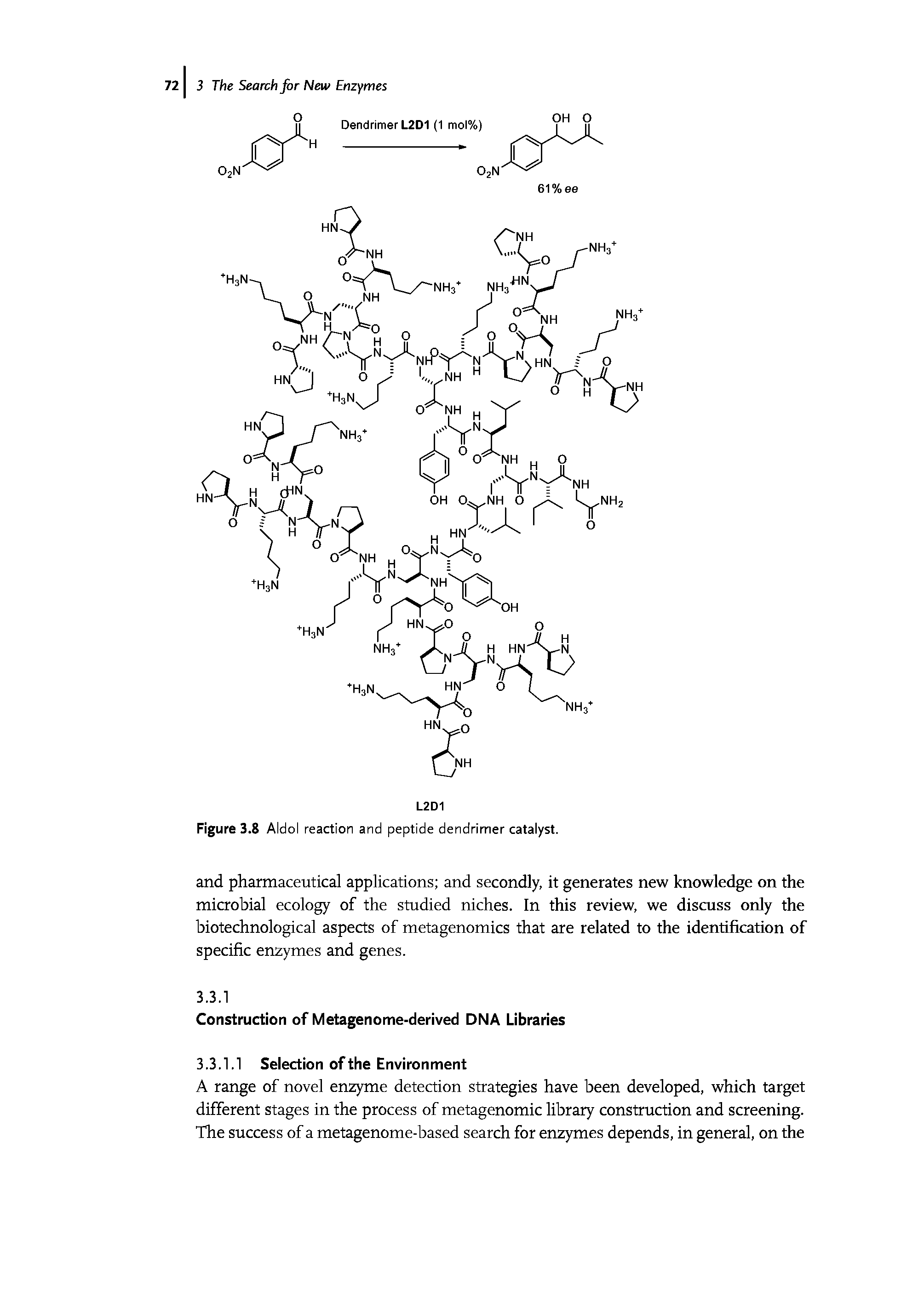 Figure 3.8 Aldol reaction and peptide dendrimer catalyst.