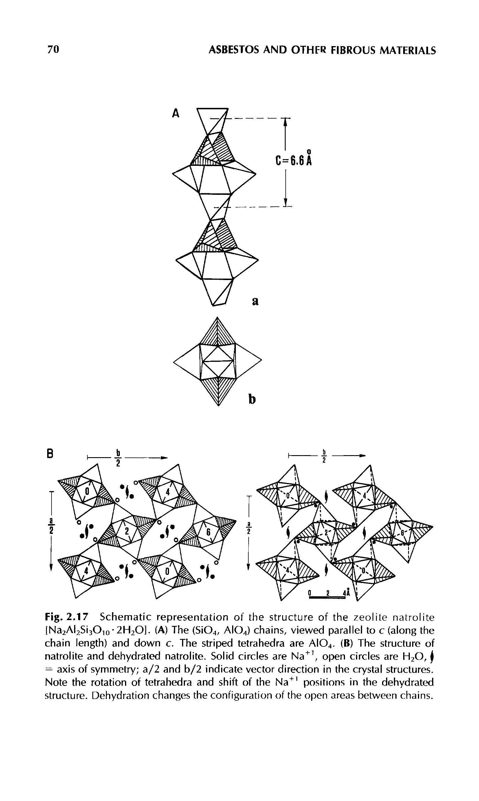 Fig. 2.17 Schematic representation of the structure of the zeolite natrolite [Na2Al2Si30io 2H2OI. (A) The (Si04, AIO4) chains, viewed parallel to c (along the chain length) and down c. The striped tetrahedra are AIO4. (B) The structure of natrolite and dehydrated natrolite. Solid circles are Na" , open circles are H2O, = axis of symmetry a/2 and b/2 indicate vector direction in the crystal structures. Note the rotation of tetrahedra and shift of the Na" positions in the dehydrated structure. Dehydration changes the configuration of the open areas between chains.