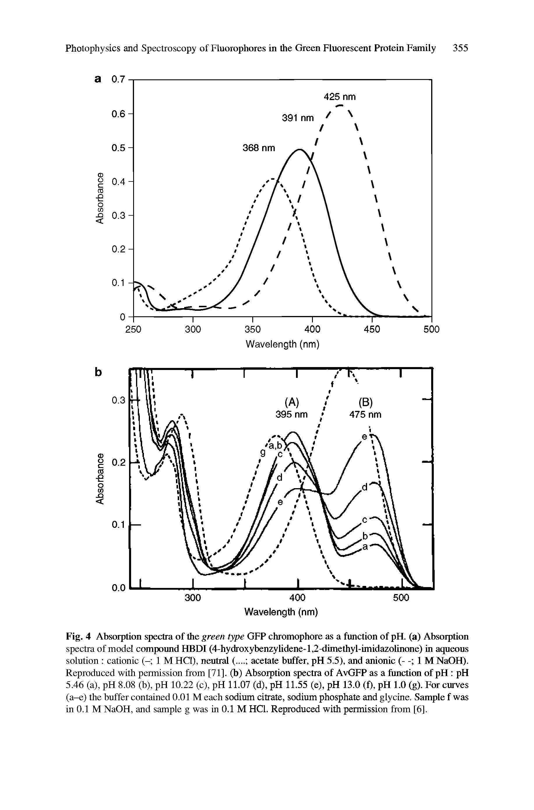 Fig. 4 Absorption spectra of the green type GFP chromophore as a function of pH. (a) Absorption spectra of model compound FIBDI (4-hydroxybenzy lidene-1,2-dimethyl-imidazolinone) in aqueous solution cationic (- 1 M HC1), neutral acetate buffer, pH 5.5), and anionic 1 M NaOFI). Reproduced with permission from [71]. (b) Absorption spectra of AvGFP as a function of pH pH 5.46 (a), pH 8.08 (b), pH 10.22 (c), pH 11.07 (d), pH 11.55 (e), pH 13.0 (f), pH 1.0 (g). For curves (a-e) the buffer contained 0.01 M each sodium citrate, sodium phosphate and glycine. Sample f was in 0.1 M NaOH, and sample g was in 0.1 M HC1. Reproduced with permission from [6],...