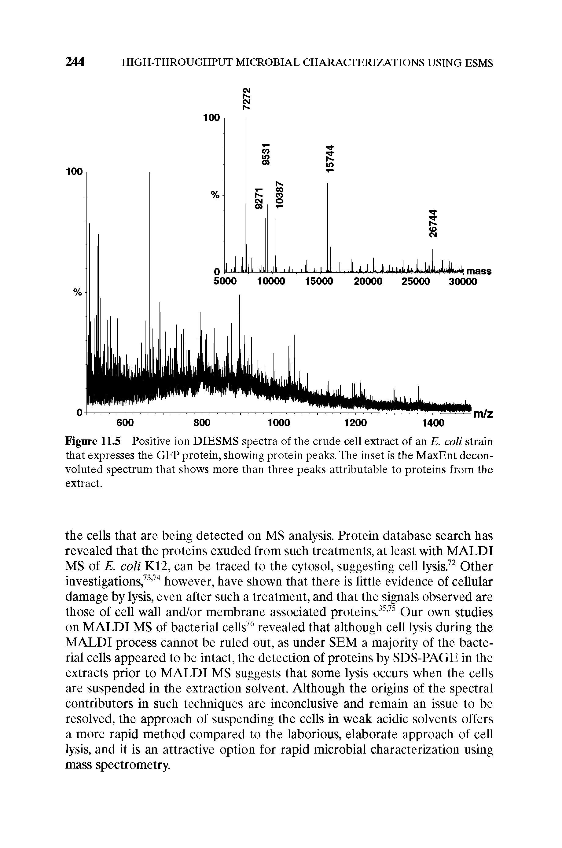Figure 11.5 Positive ion DIESMS spectra of the crude cell extract of an E. coli strain that expresses the GFP protein, showing protein peaks. The inset is the MaxEnt decon-voluted spectrum that shows more than three peaks attributable to proteins from the extract.