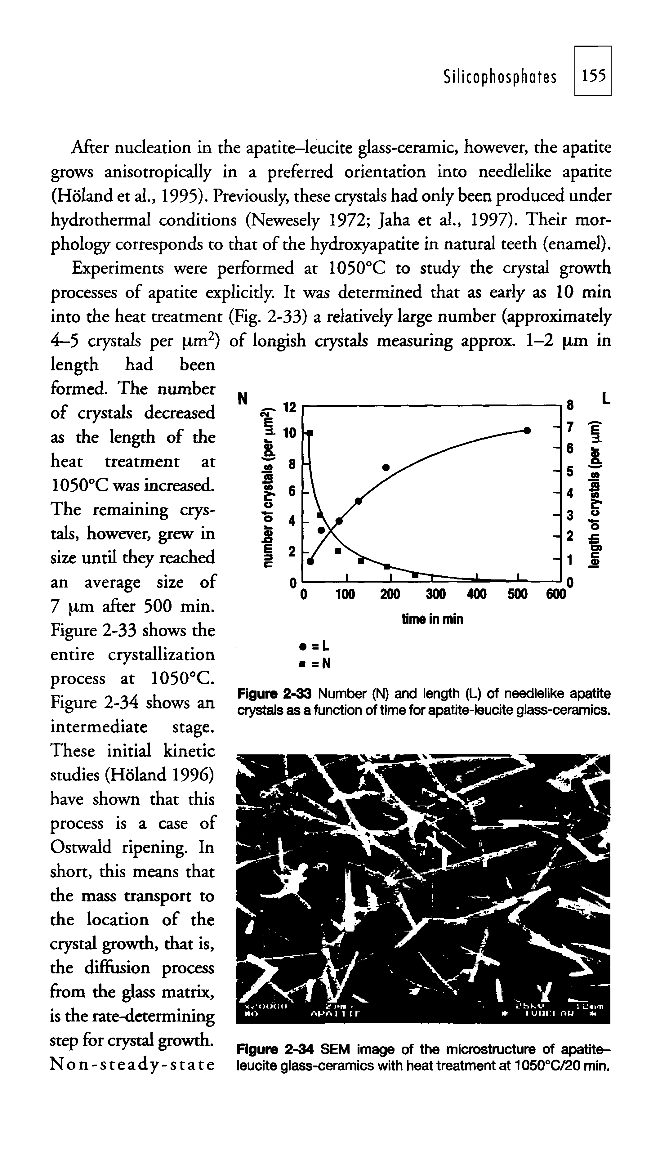 Figure 2-33 Number (N) and length (L) of needlelike apatite crystals as a function of time for apatite-leucite glass-ceramics.