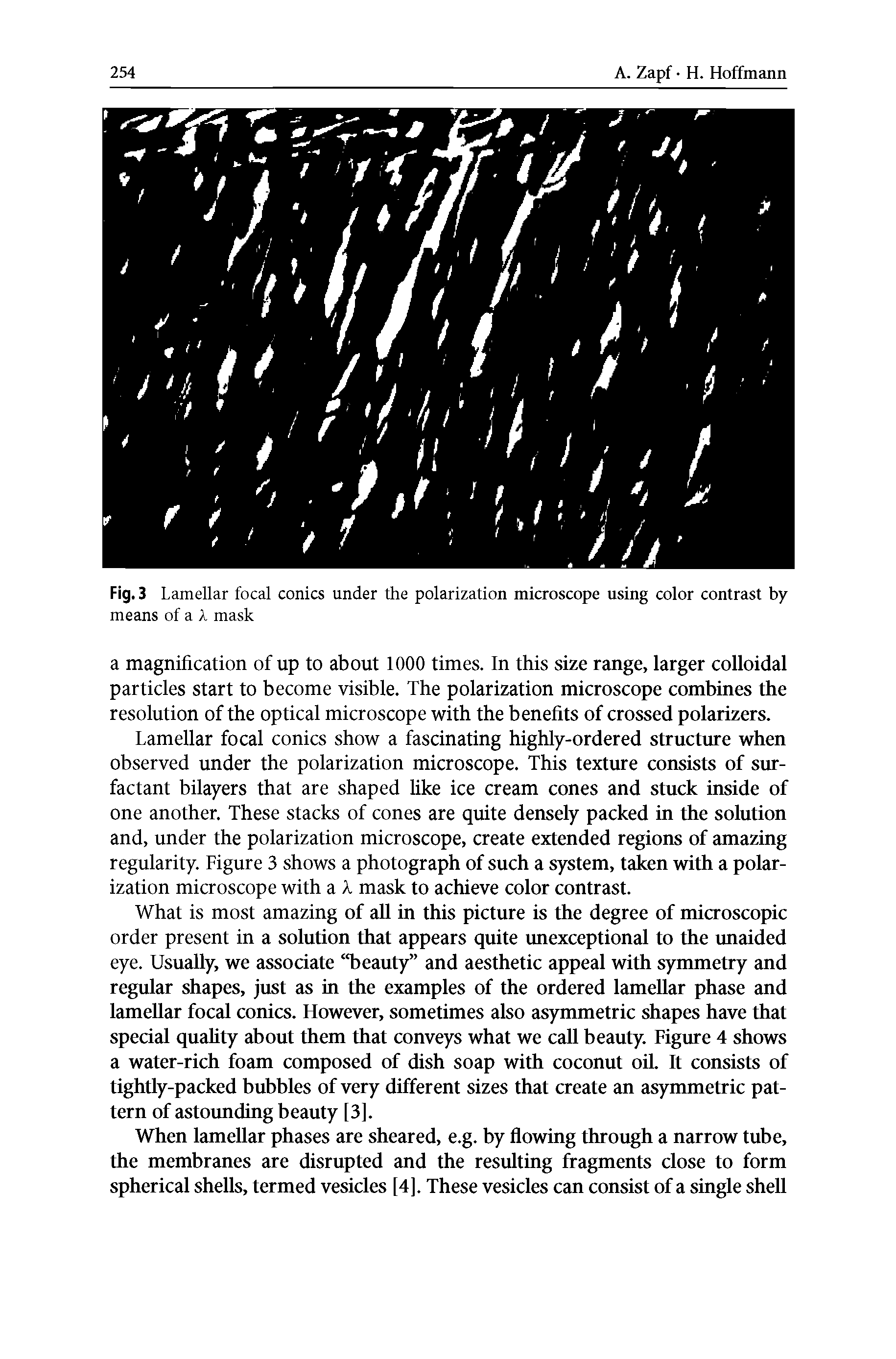 Fig. 3 Lamellar focal conics under the polarization microscope using color contrast by means of a 2, mask...