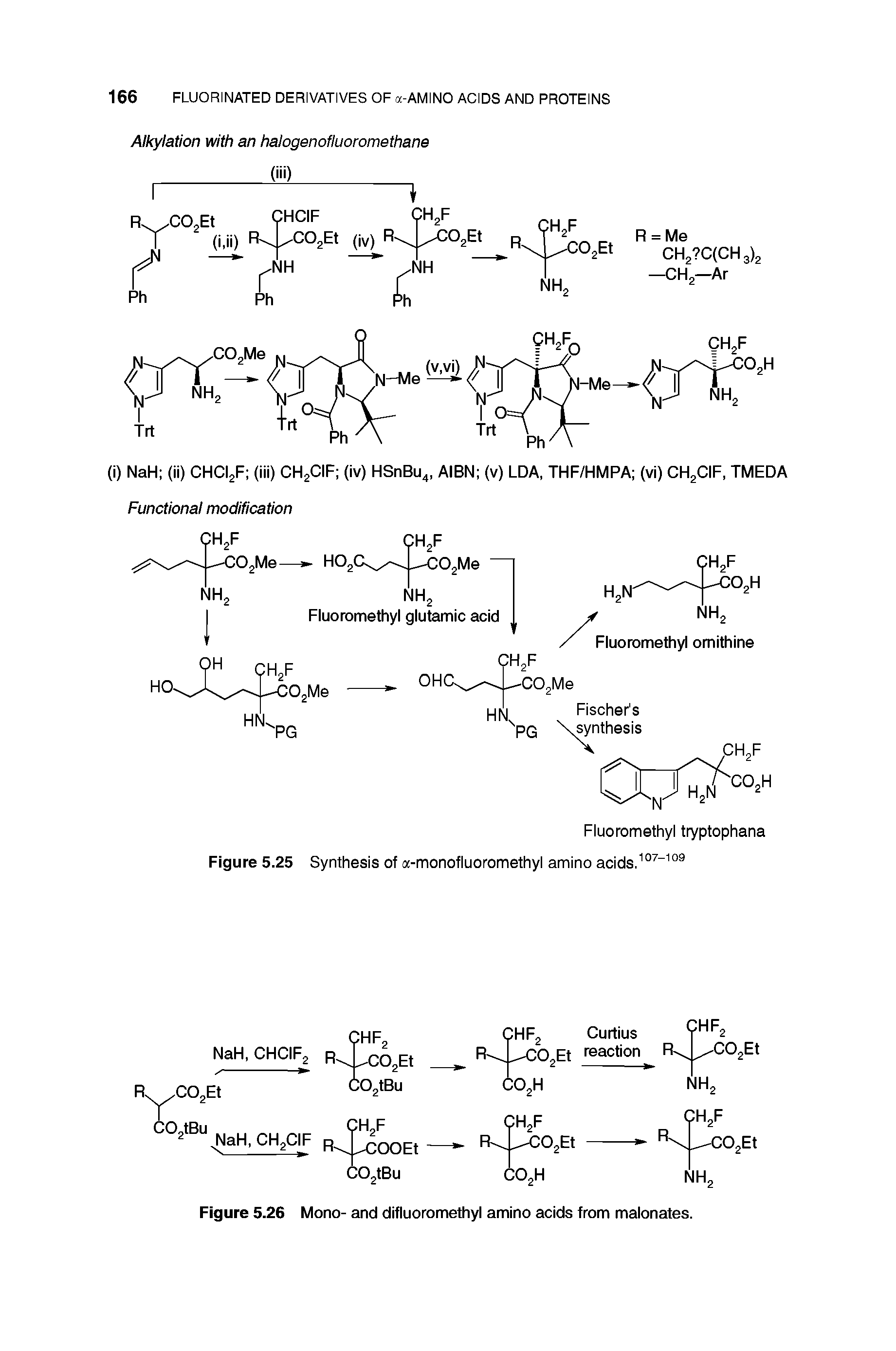 Figure 5.26 Mono- and difluoromethyl amino acids from malonates.