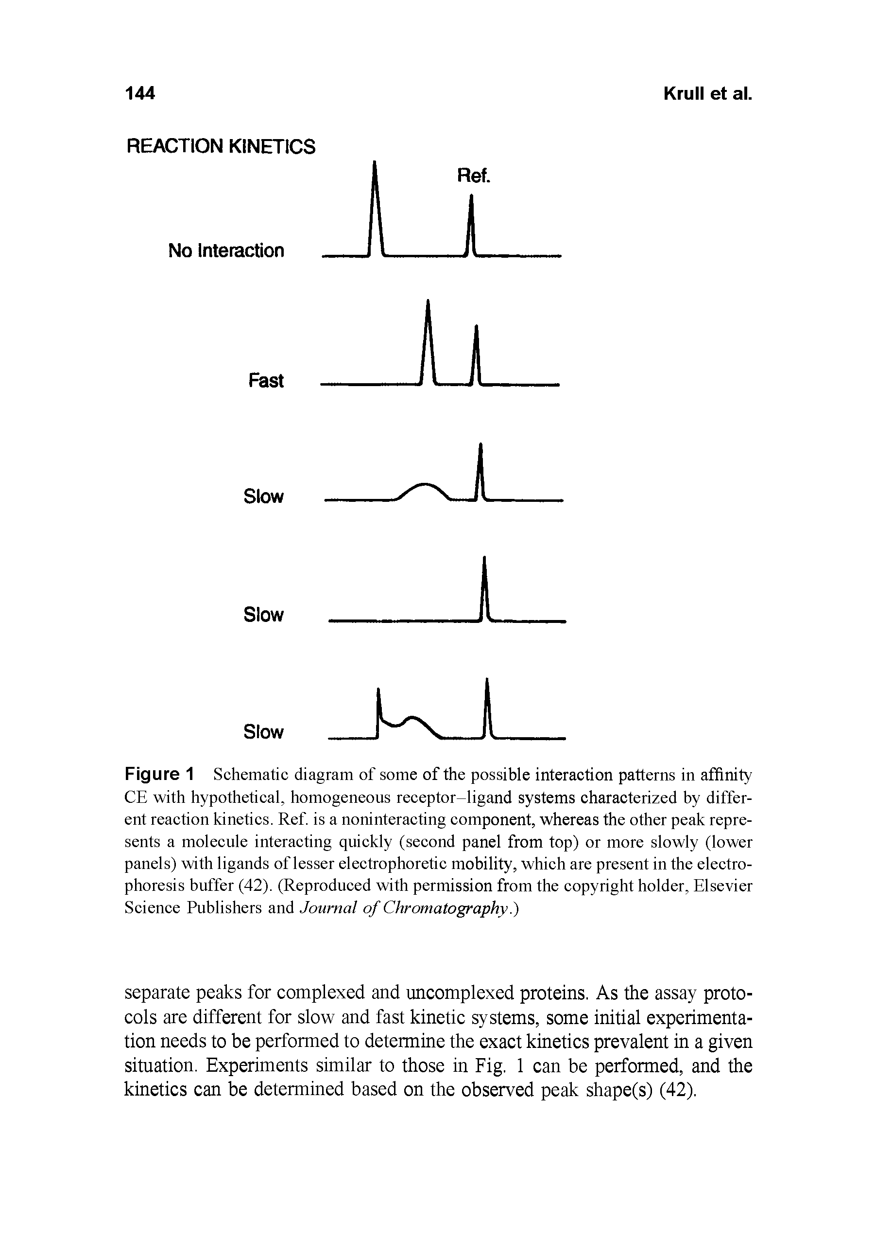 Figure 1 Schematic diagram of some of the possible interaction patterns in affinity CE with hypothetical, homogeneous receptor-ligand systems characterized by different reaction kinetics. Ref. is a noninteracting component, whereas the other peak represents a molecule interacting quickly (second panel from top) or more slowly (lower panels) with ligands of lesser electrophoretic mobility, which are present in the electrophoresis buffer (42). (Reproduced with permission from the copyright holder, Elsevier Science Publishers and Journal of Chromatography. )...