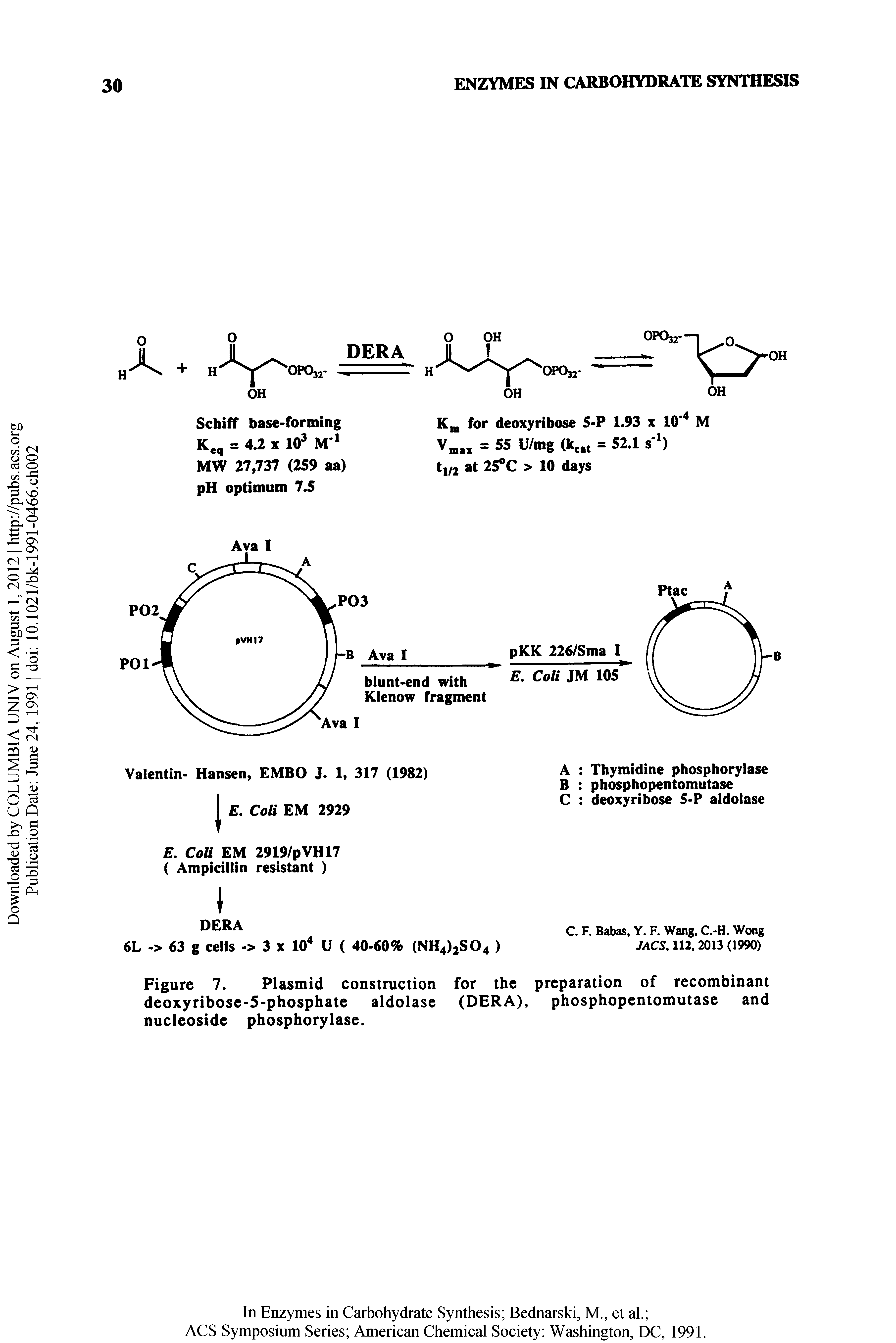 Figure 7. Plasmid construction for the preparation of recombinant deoxyribose-5-phosphate aldolase (DERA). phosphopentomutase and nucleoside phosphorylase.
