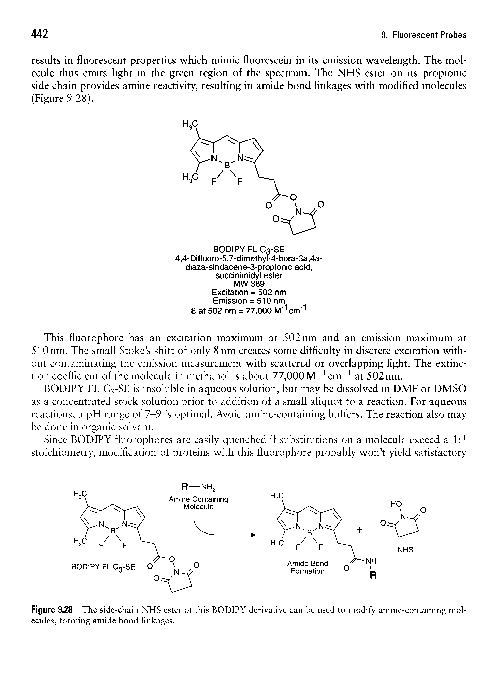 Figure 9.28 The side-chain NHS ester of this BODIPY derivative can be used to modify amine-containing molecules, forming amide bond linkages.